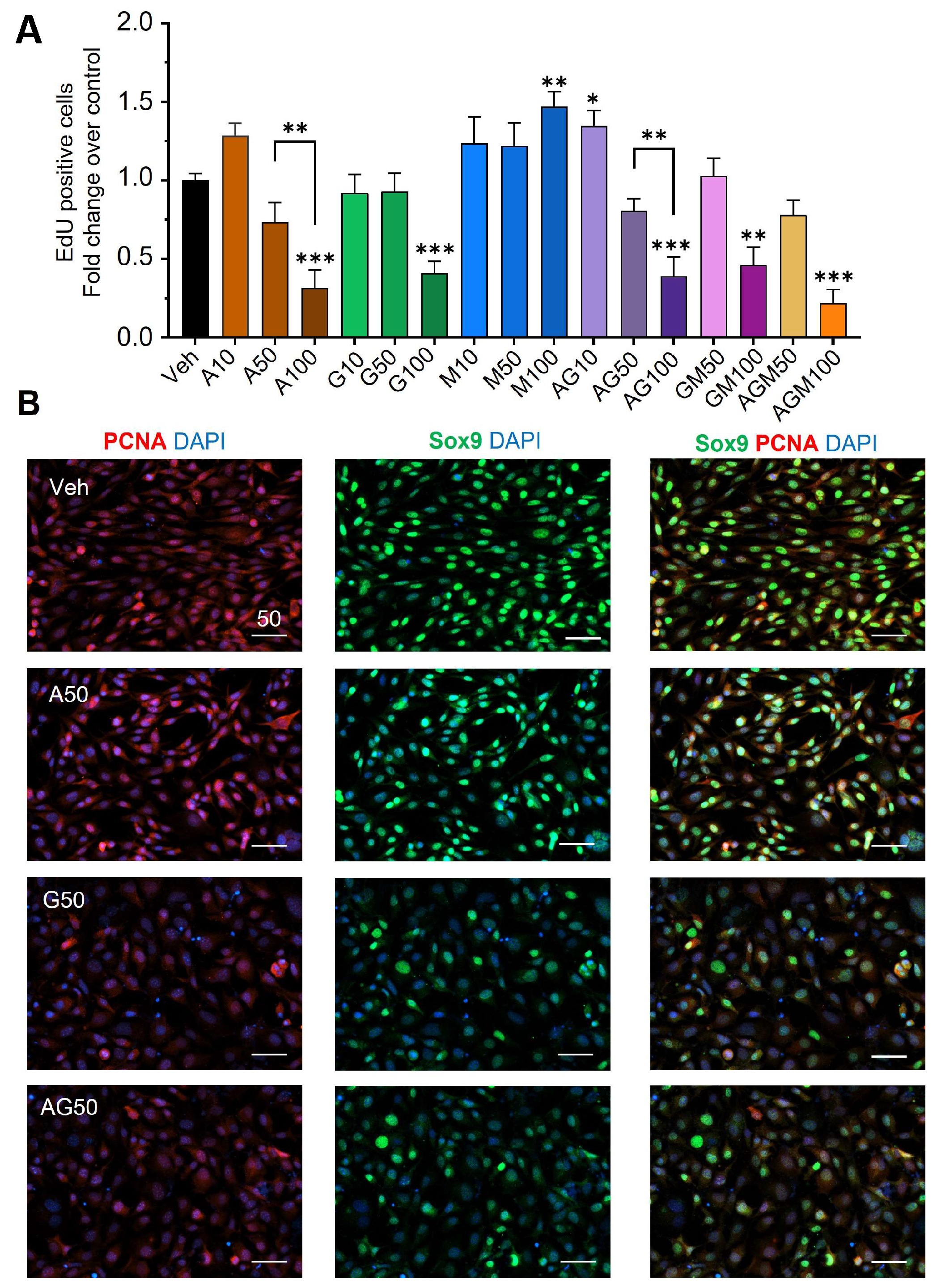 Cells 12 01804 g002 Cells 12 01804 g002