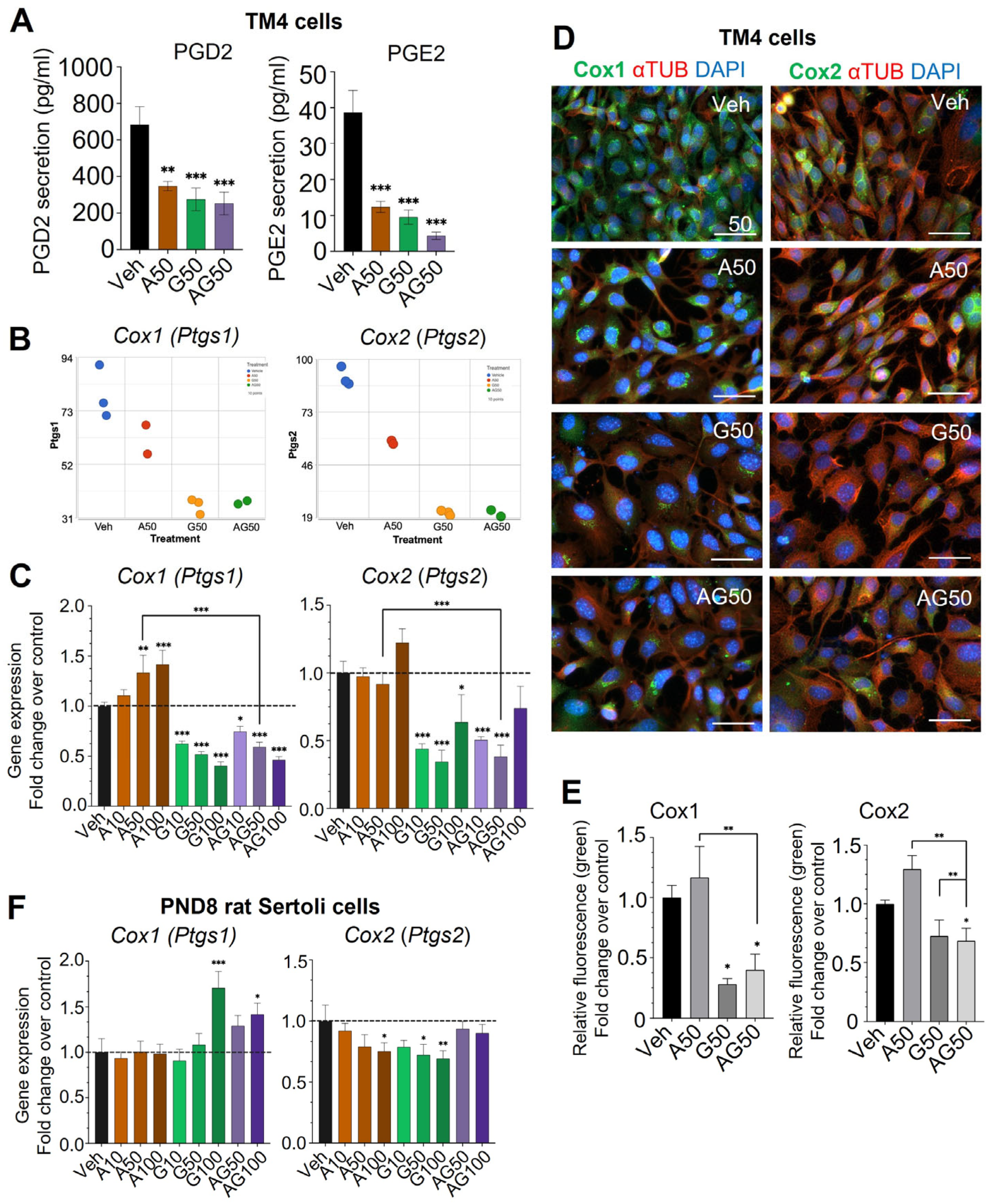 Cells 12 01804 g005 Cells 12 01804 g005