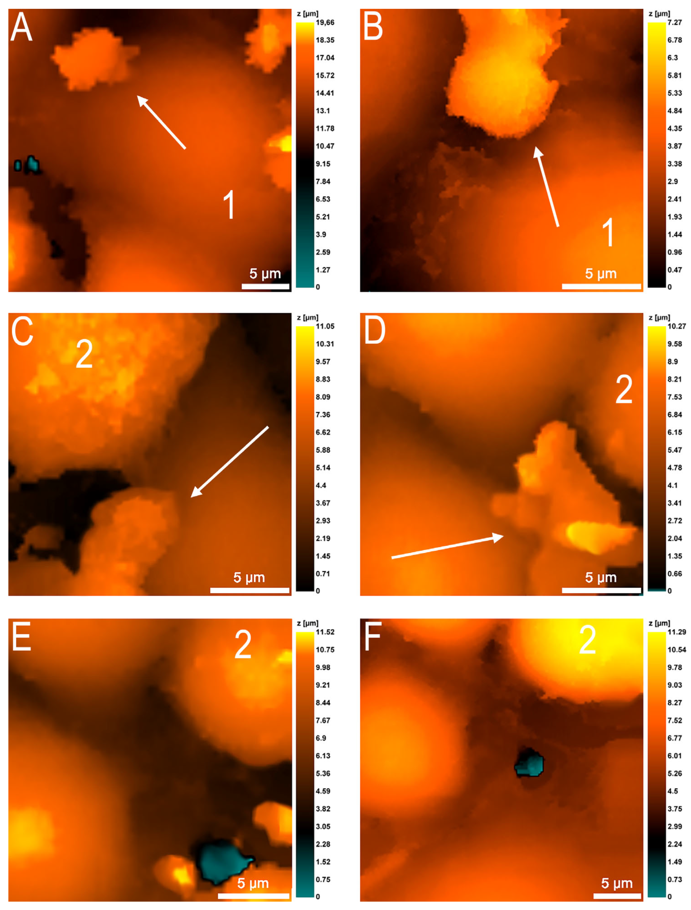Cells 12 01806 g004 Cells 12 01806 g004