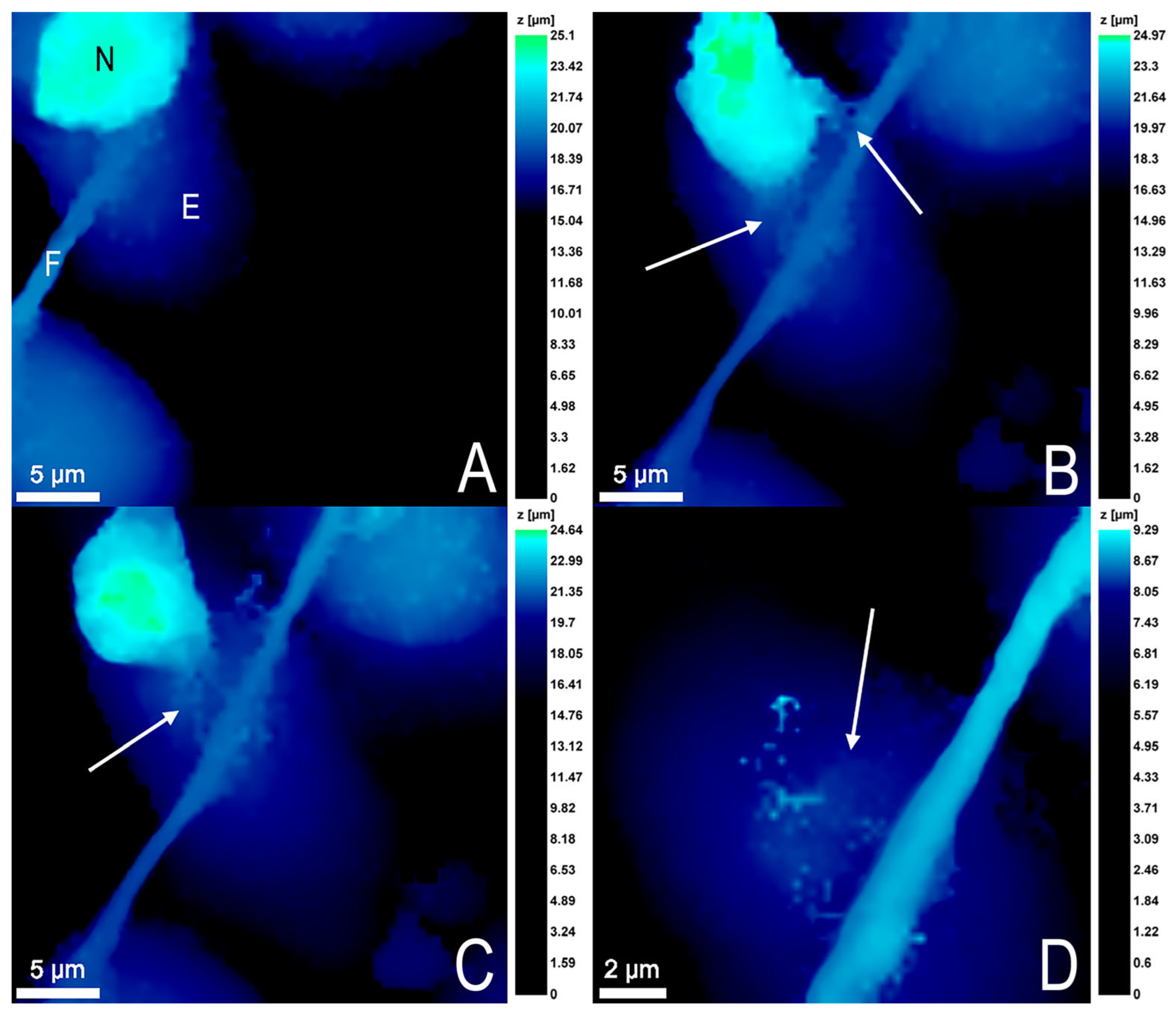 Cells 12 01806 g005 Cells 12 01806 g005