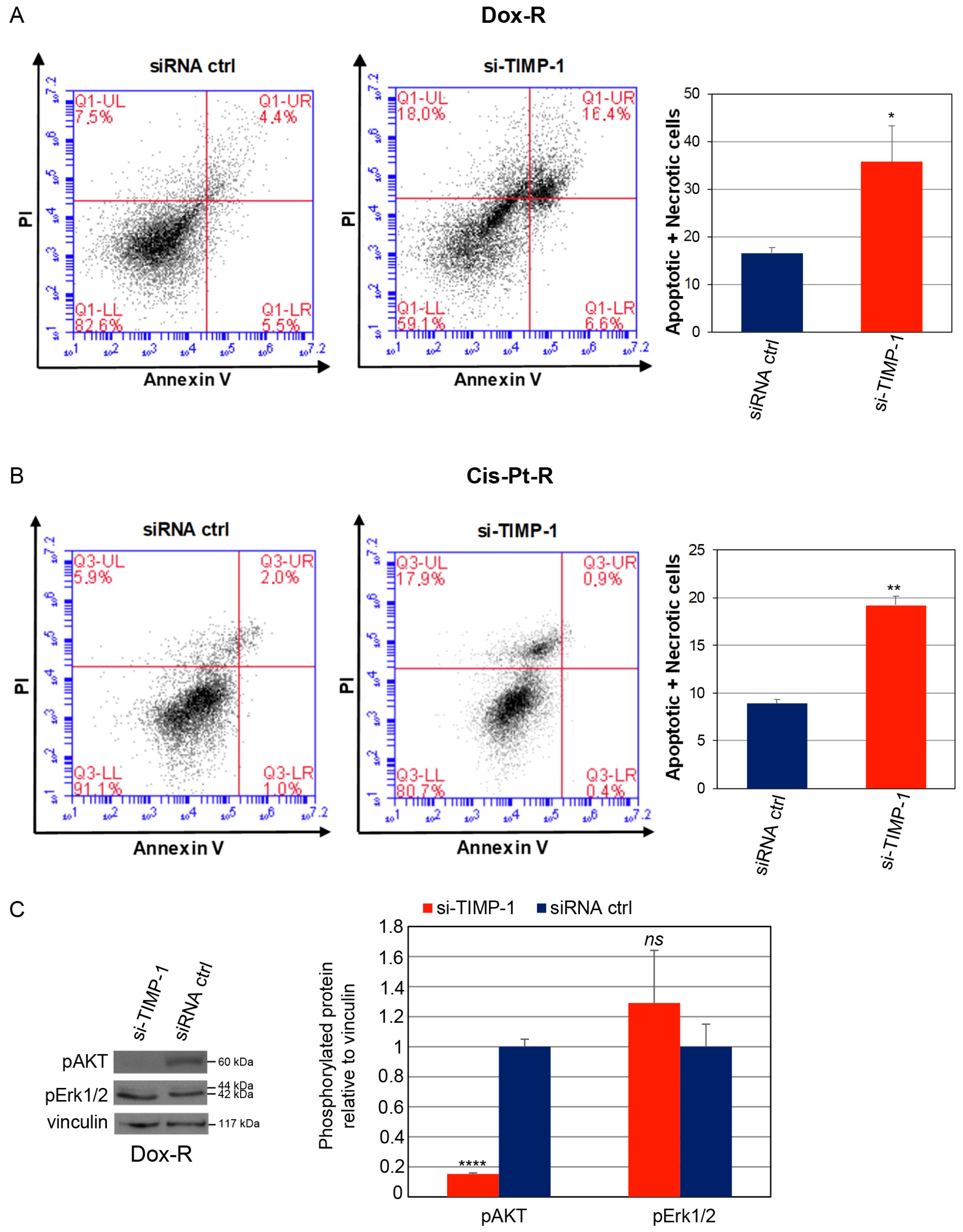 Cells 12 01809 g004a Cells 12 01809 g004a