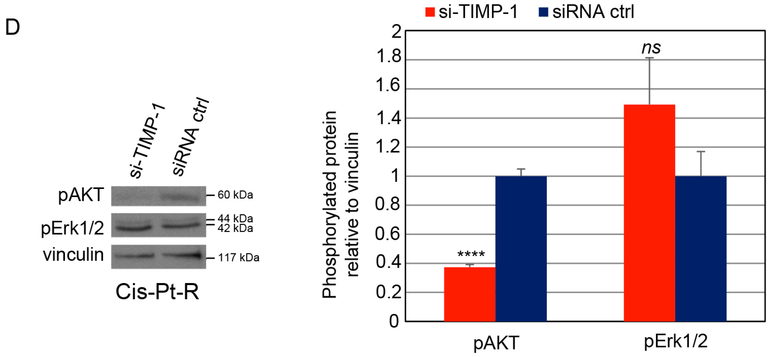 Cells 12 01809 g004b Cells 12 01809 g004b