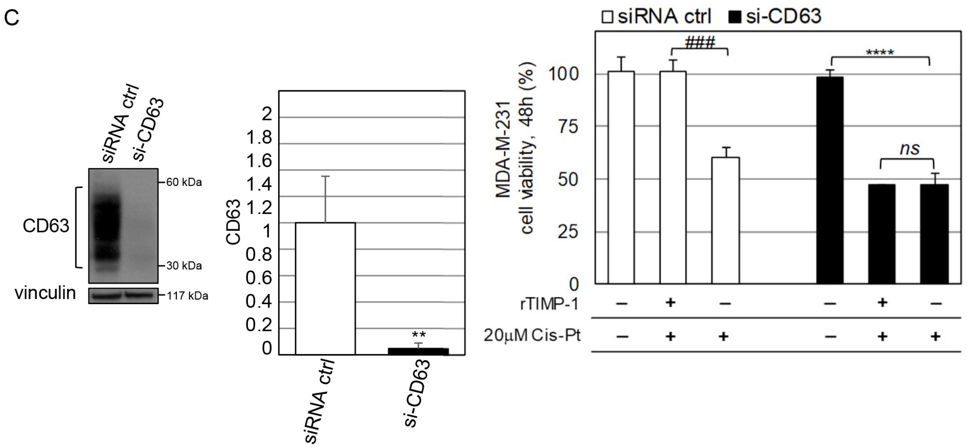 Cells 12 01809 g006b Cells 12 01809 g006b