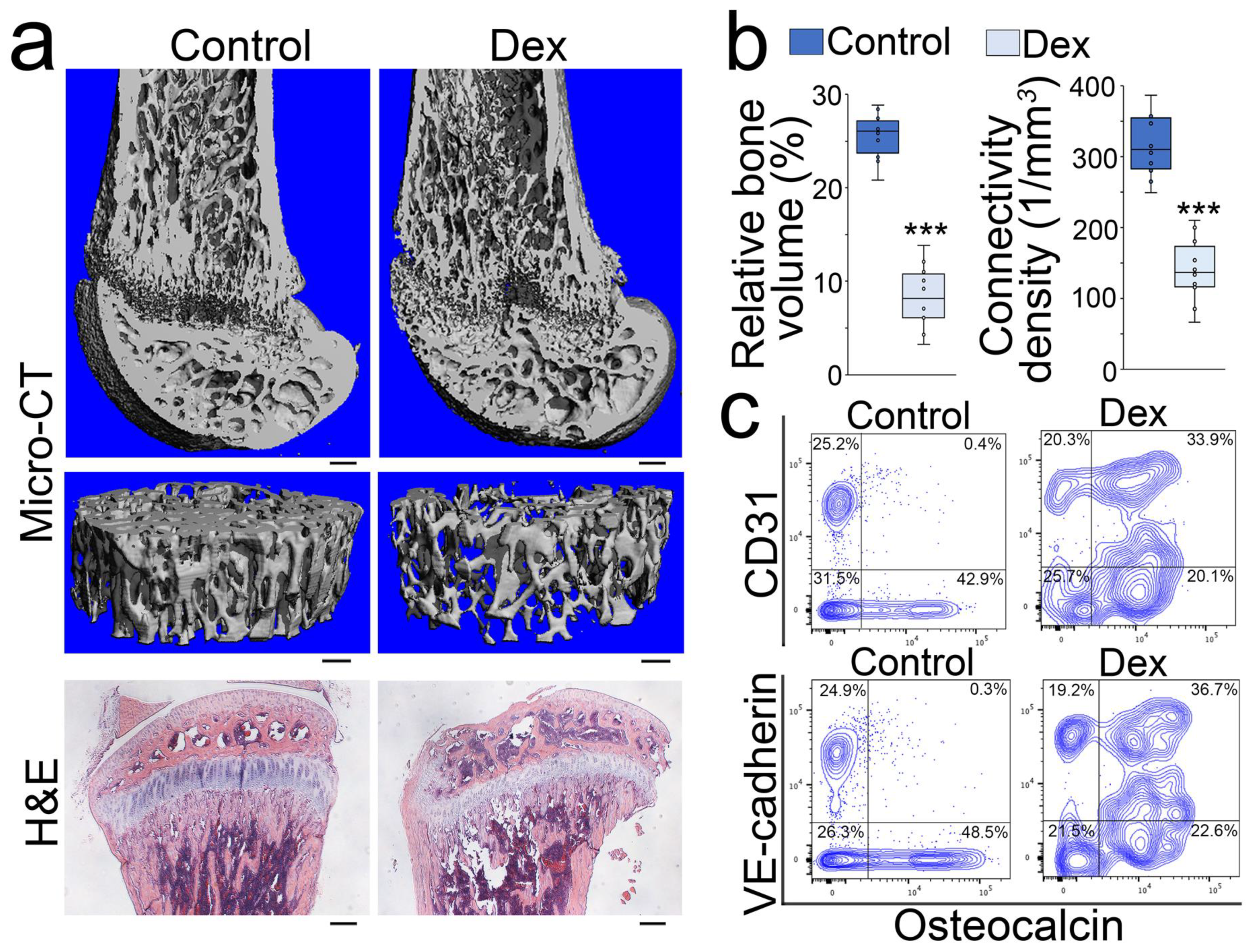 Cells 12 01810 g001 Cells 12 01810 g001