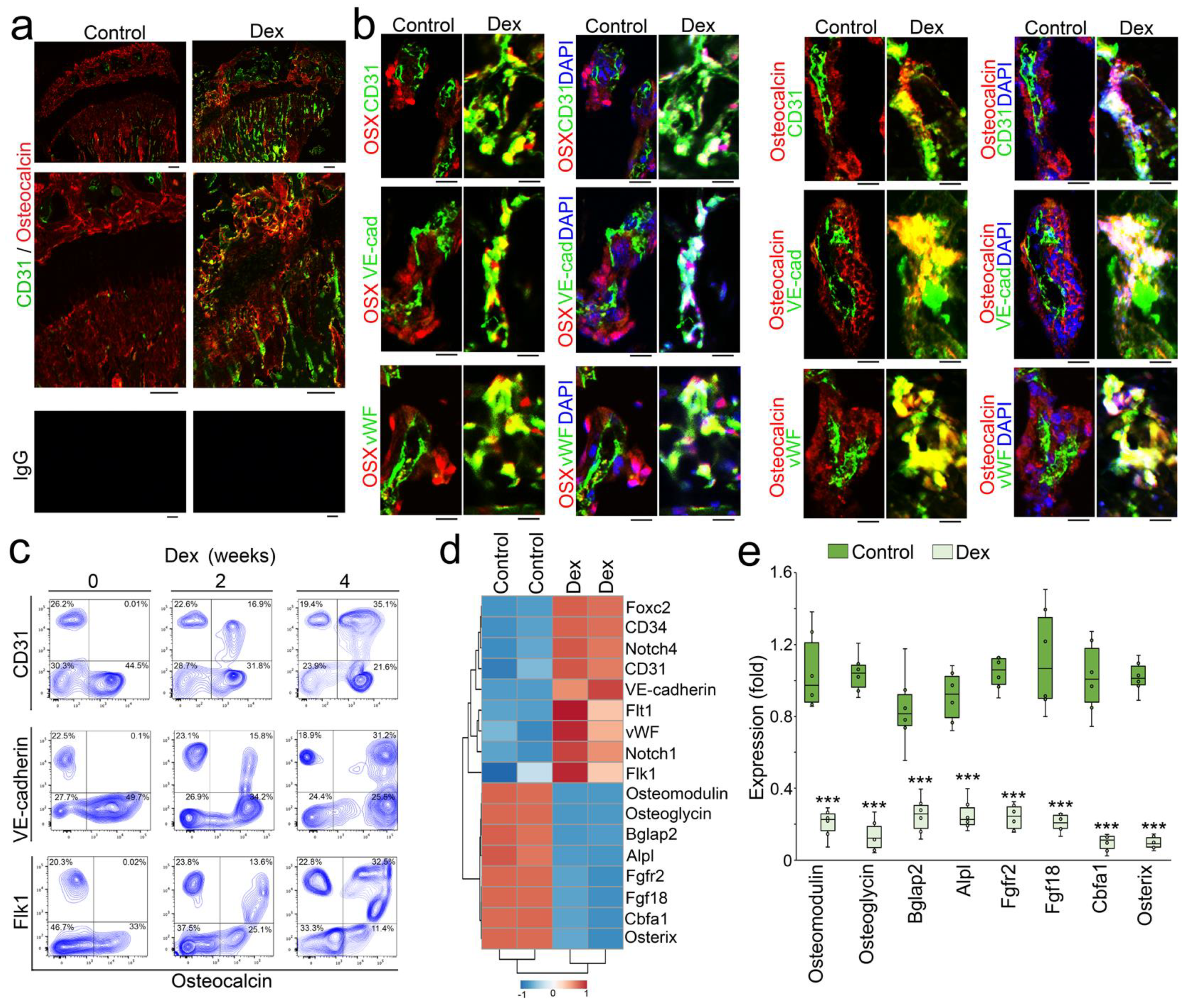 Cells 12 01810 g002 Cells 12 01810 g002