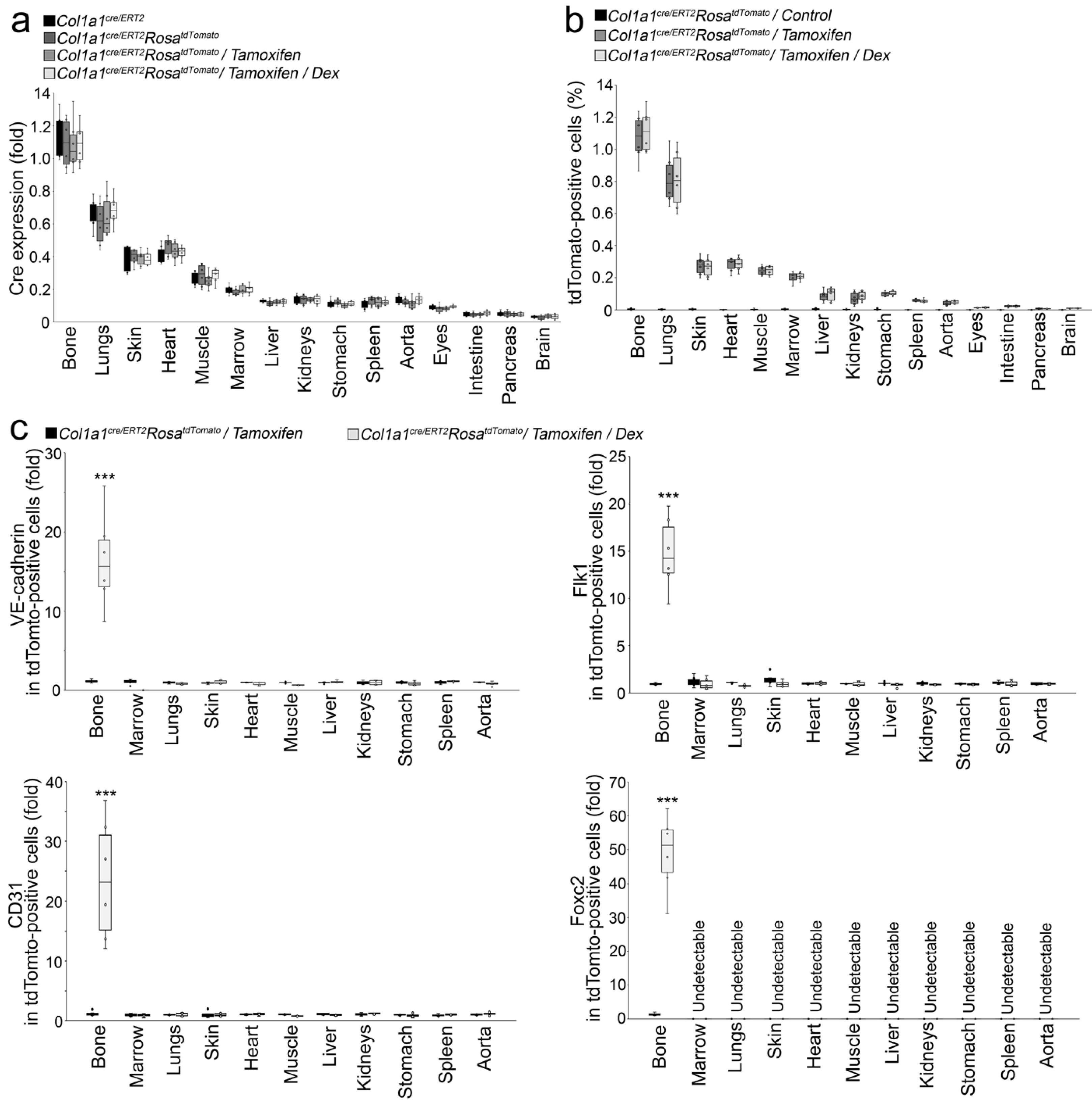Cells 12 01810 g004 Cells 12 01810 g004