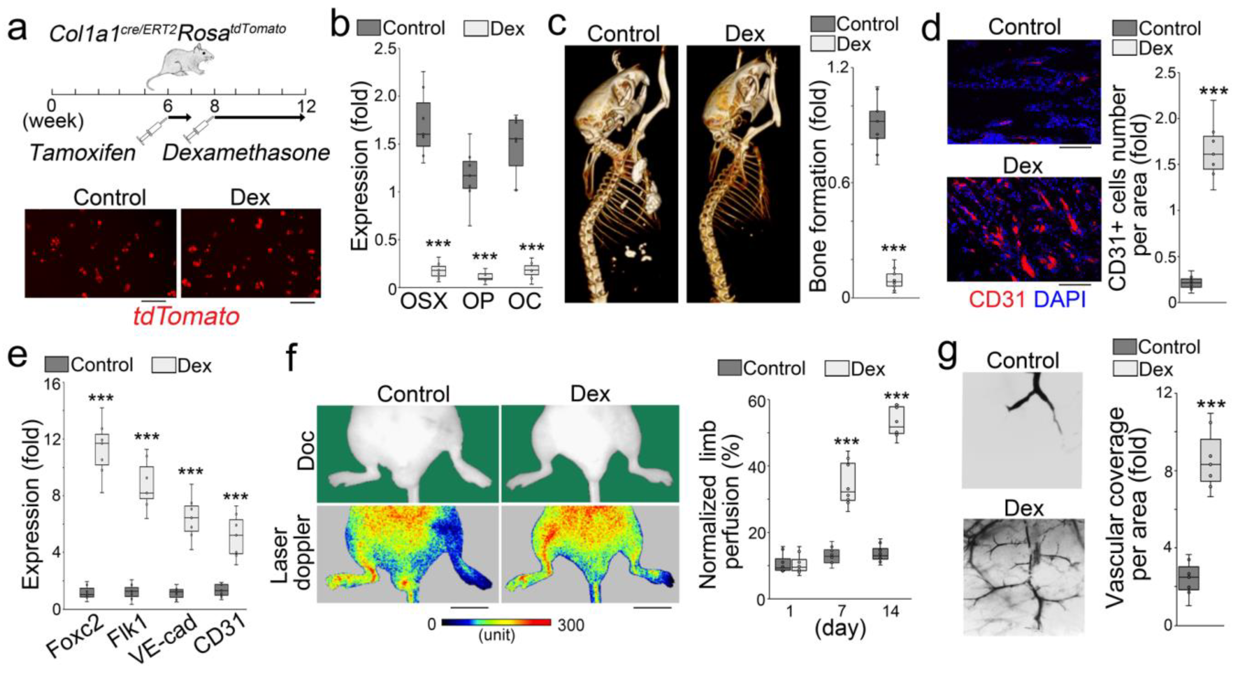 Cells 12 01810 g006 Cells 12 01810 g006