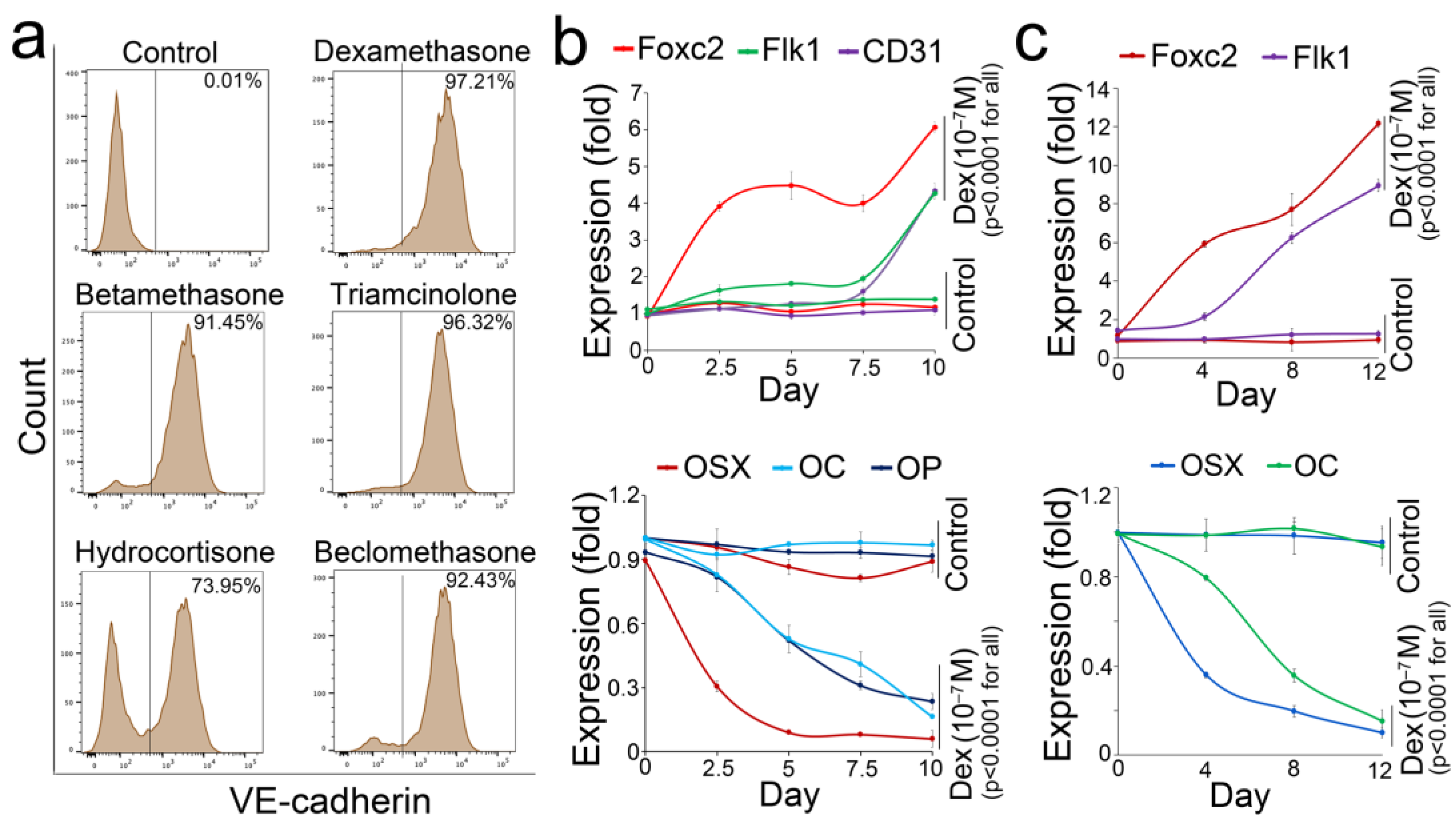 Cells 12 01810 g007 Cells 12 01810 g007