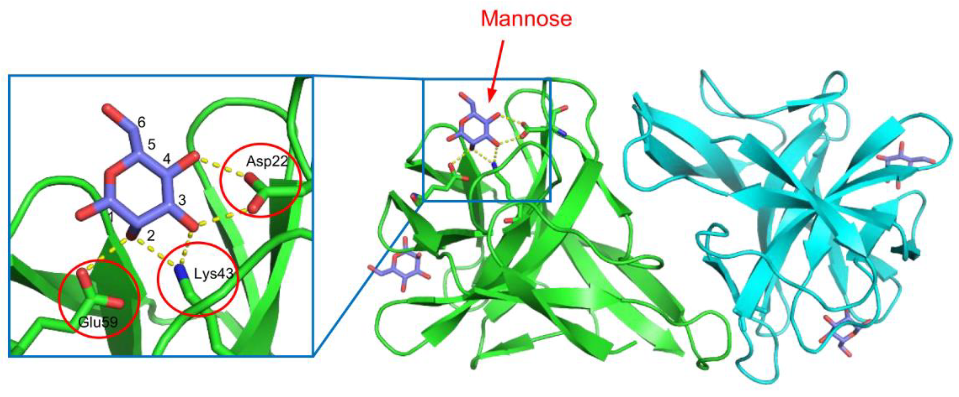 Cells 12 01814 g002 Cells 12 01814 g002