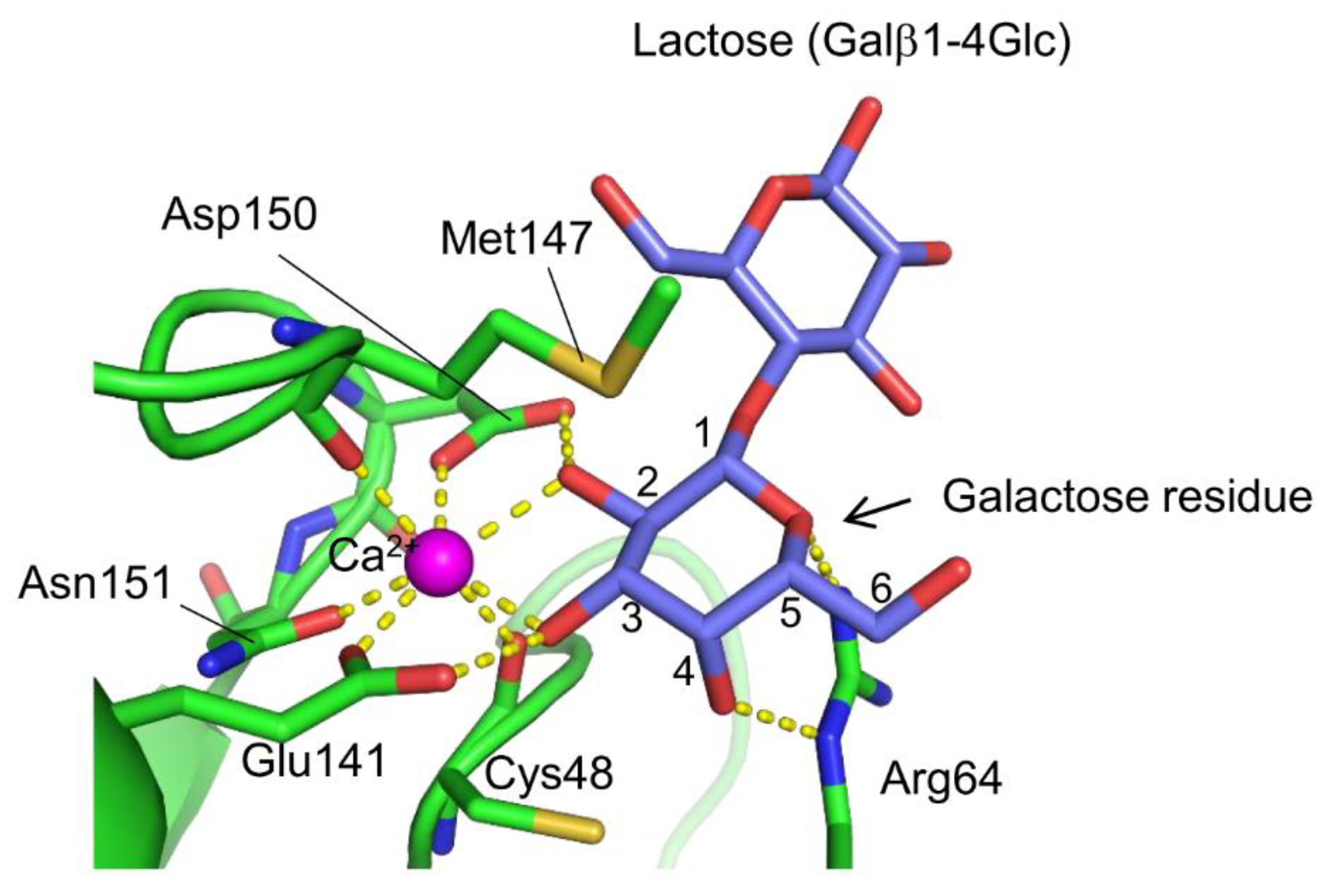 Cells 12 01814 g003 Cells 12 01814 g003