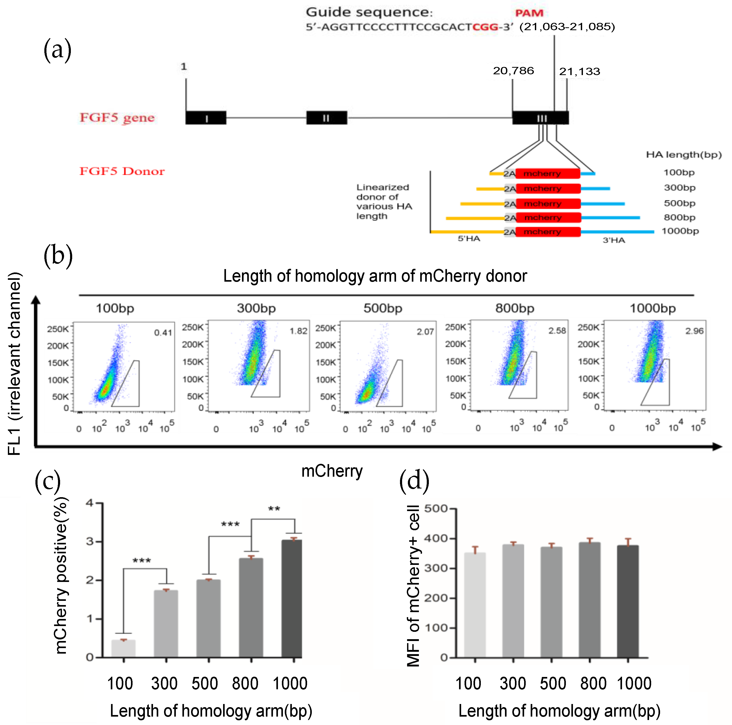 Cells 12 01818 g002 Cells 12 01818 g002
