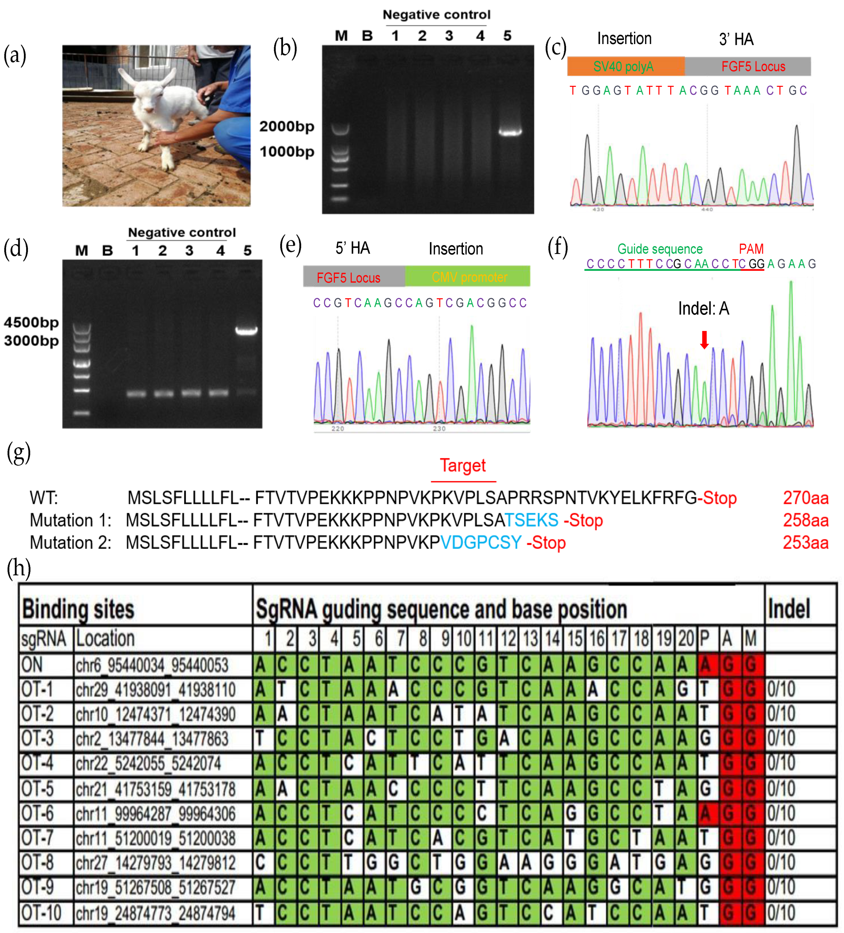 Cells 12 01818 g004 Cells 12 01818 g004