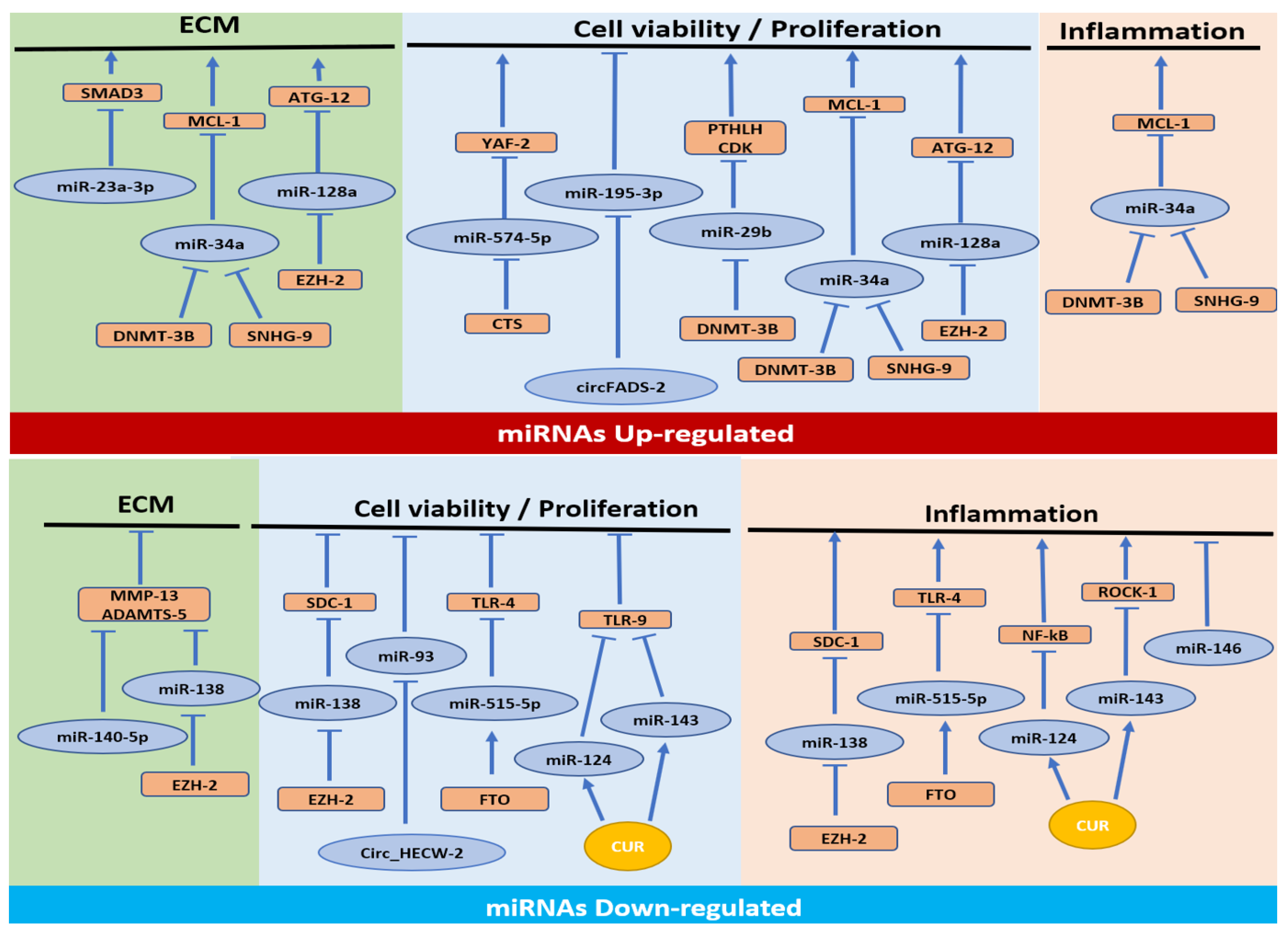 Cells 12 01821 g002 Cells 12 01821 g002
