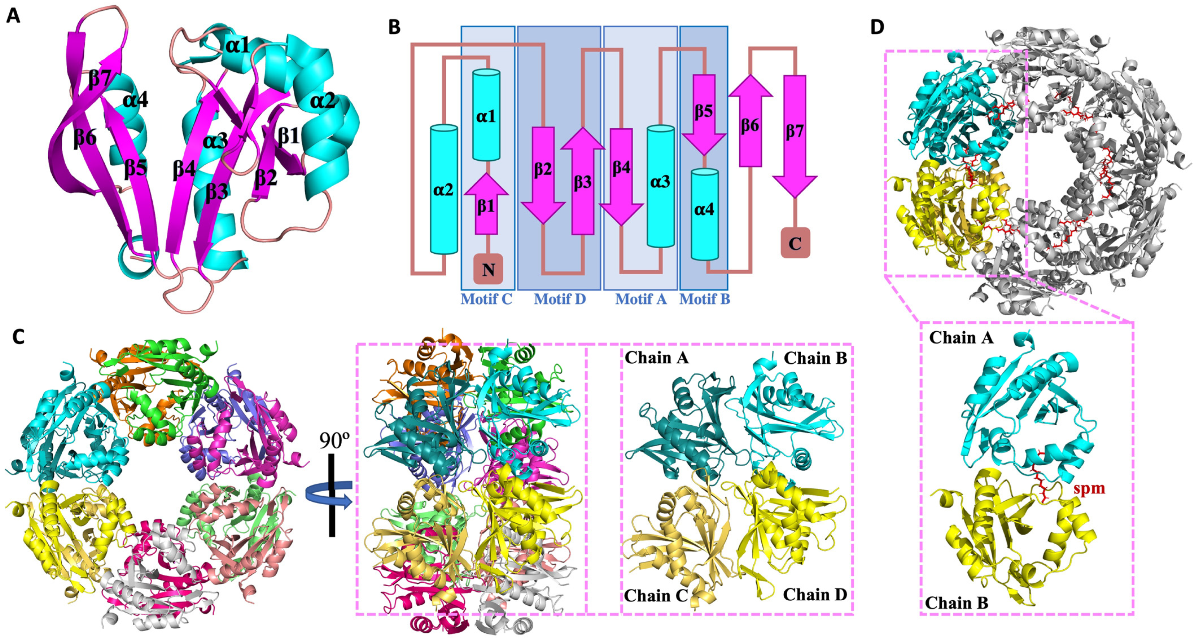 Cells 12 01829 g003 Cells 12 01829 g003
