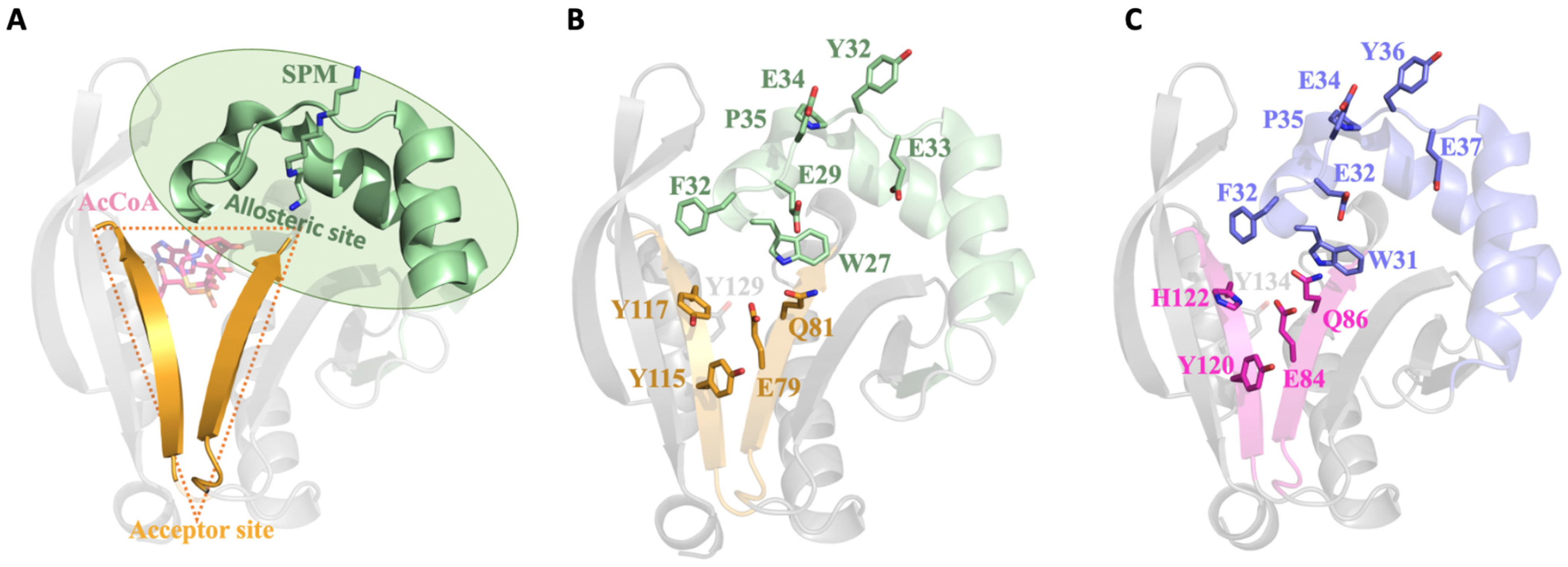 Cells 12 01829 g004 Cells 12 01829 g004