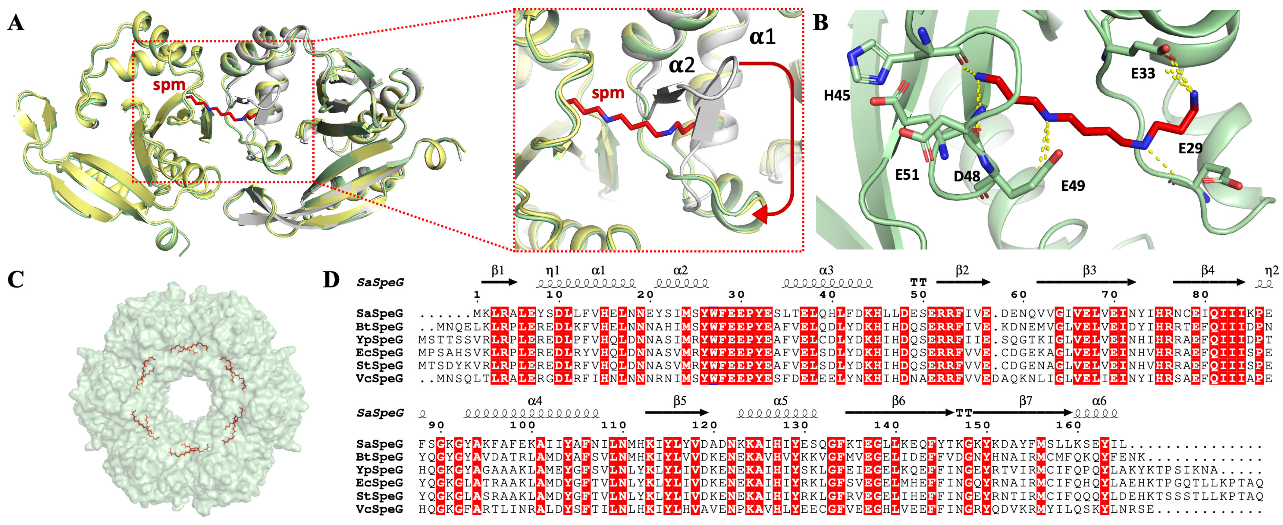 Cells 12 01829 g005 Cells 12 01829 g005