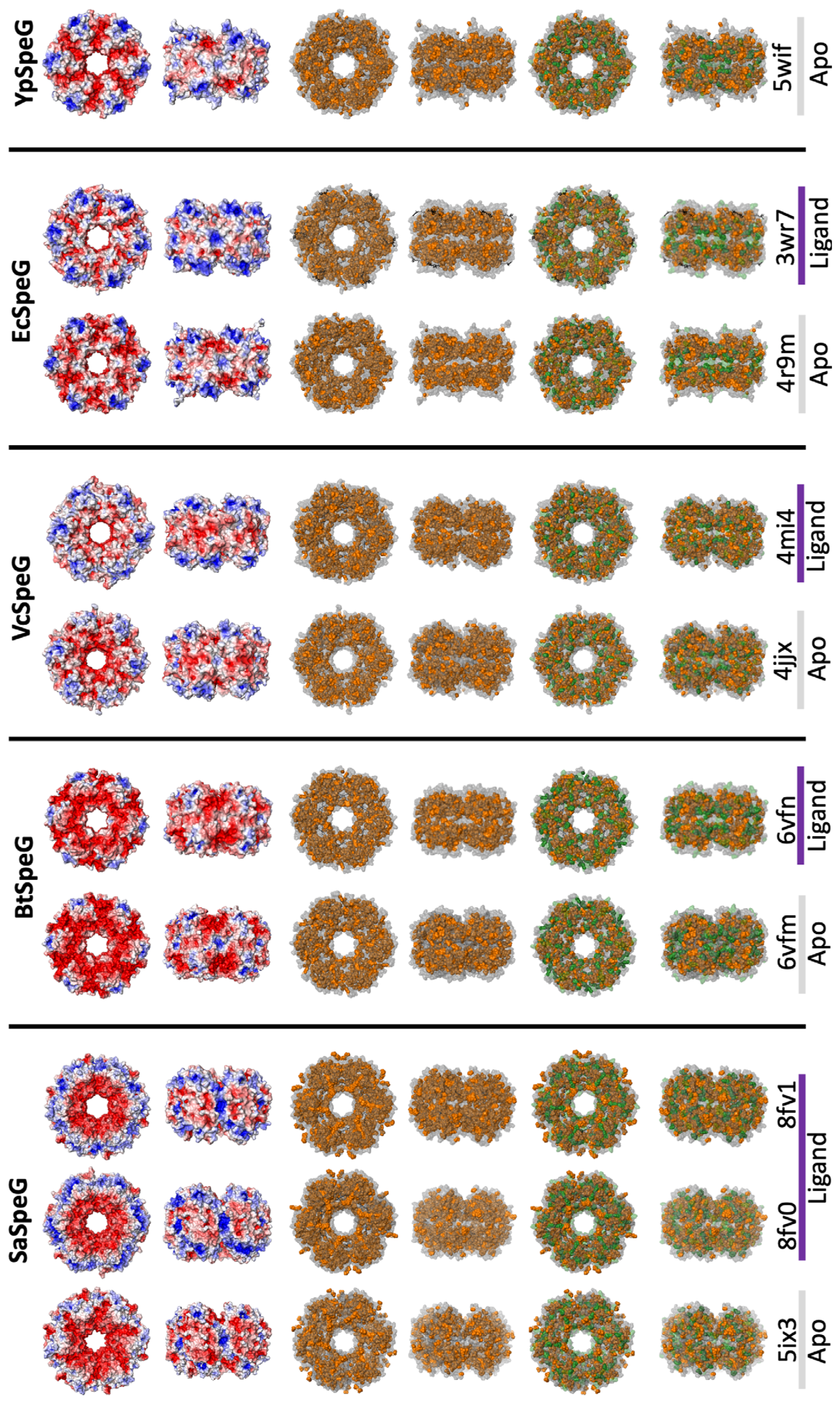 Cells 12 01829 g007 Cells 12 01829 g007