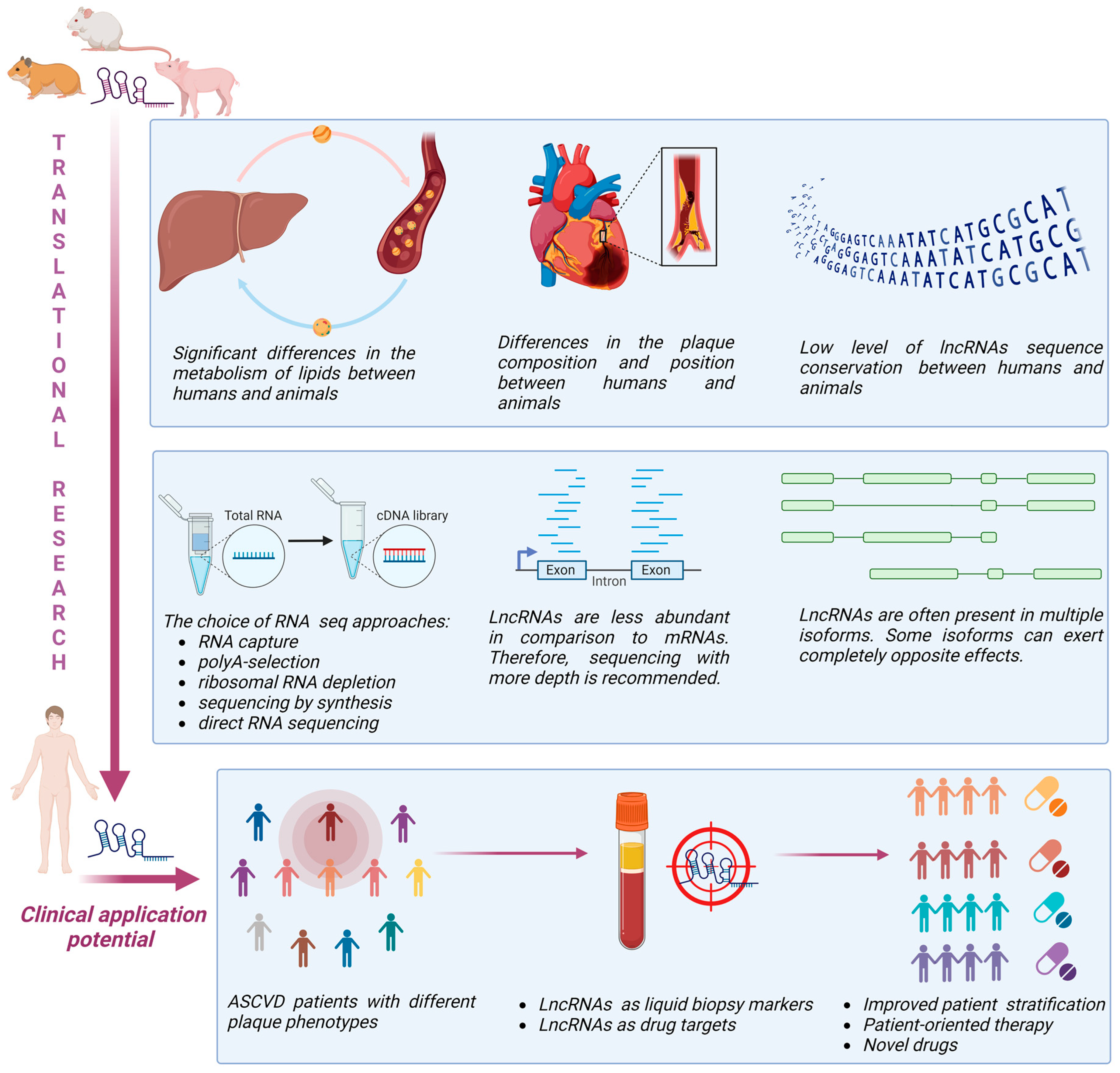 Cells 12 01832 g002 Cells 12 01832 g002