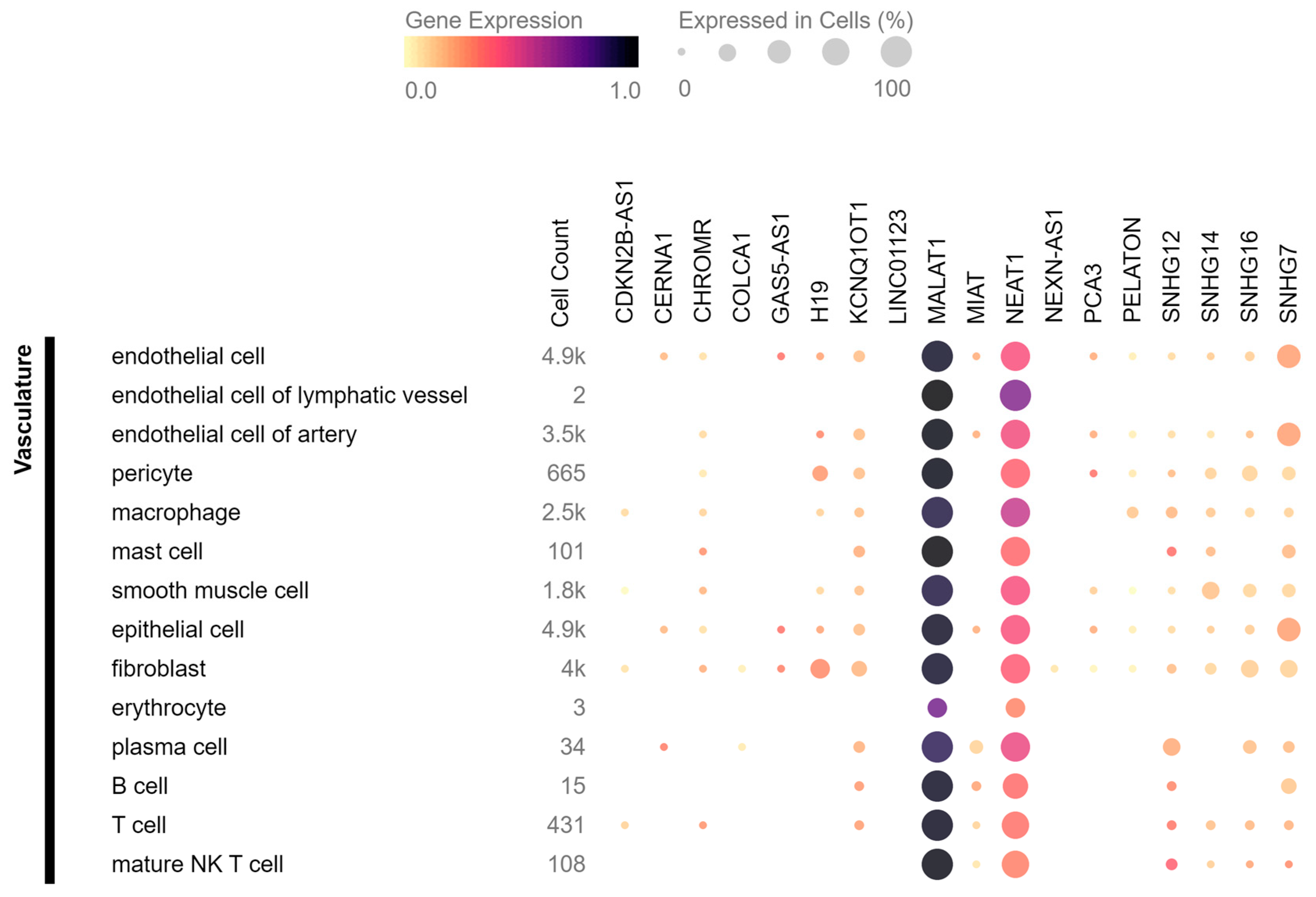 Cells 12 01832 g003 Cells 12 01832 g003