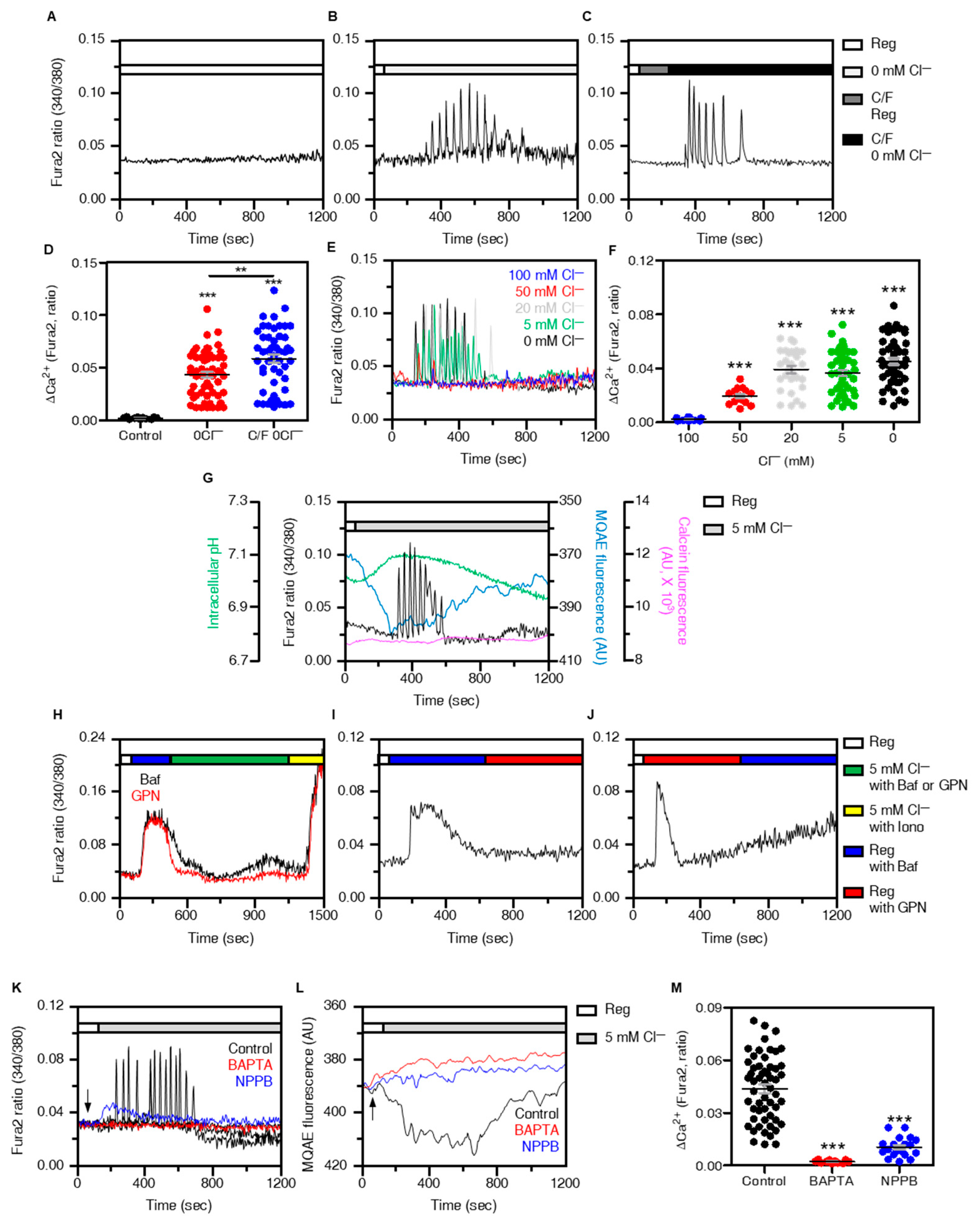 Cells 12 01835 g001 Cells 12 01835 g001