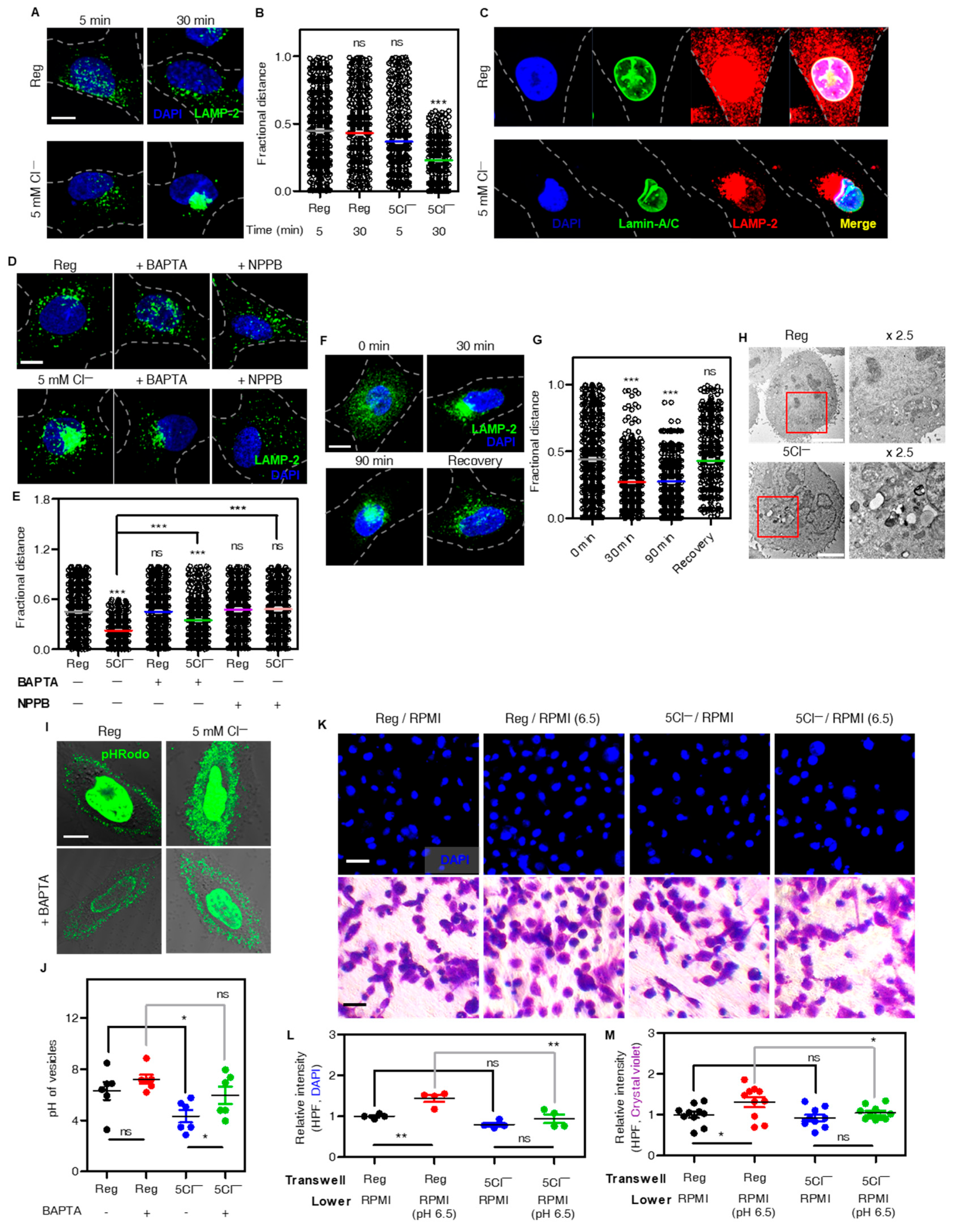 Cells 12 01835 g002 Cells 12 01835 g002