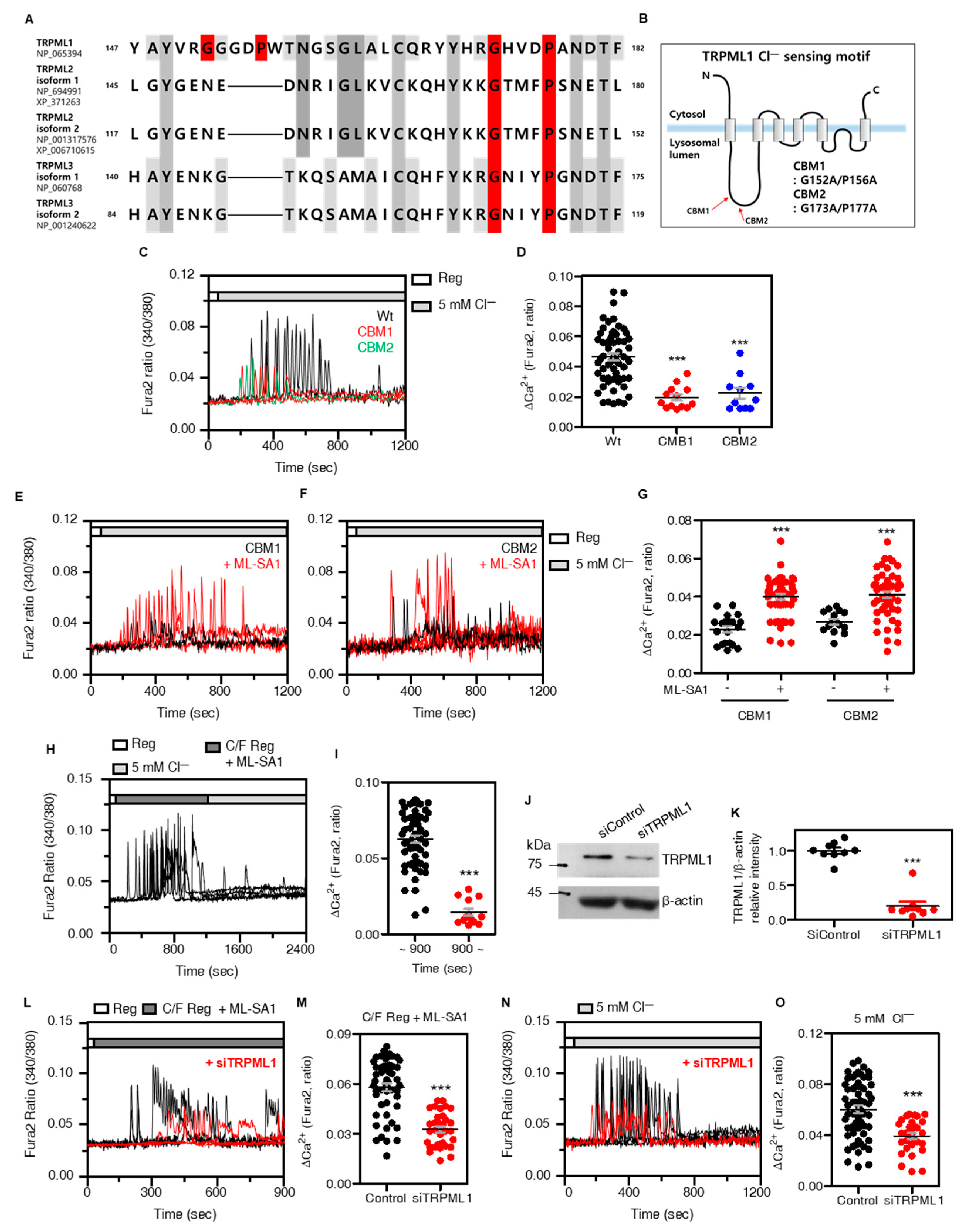 Cells 12 01835 g003 Cells 12 01835 g003