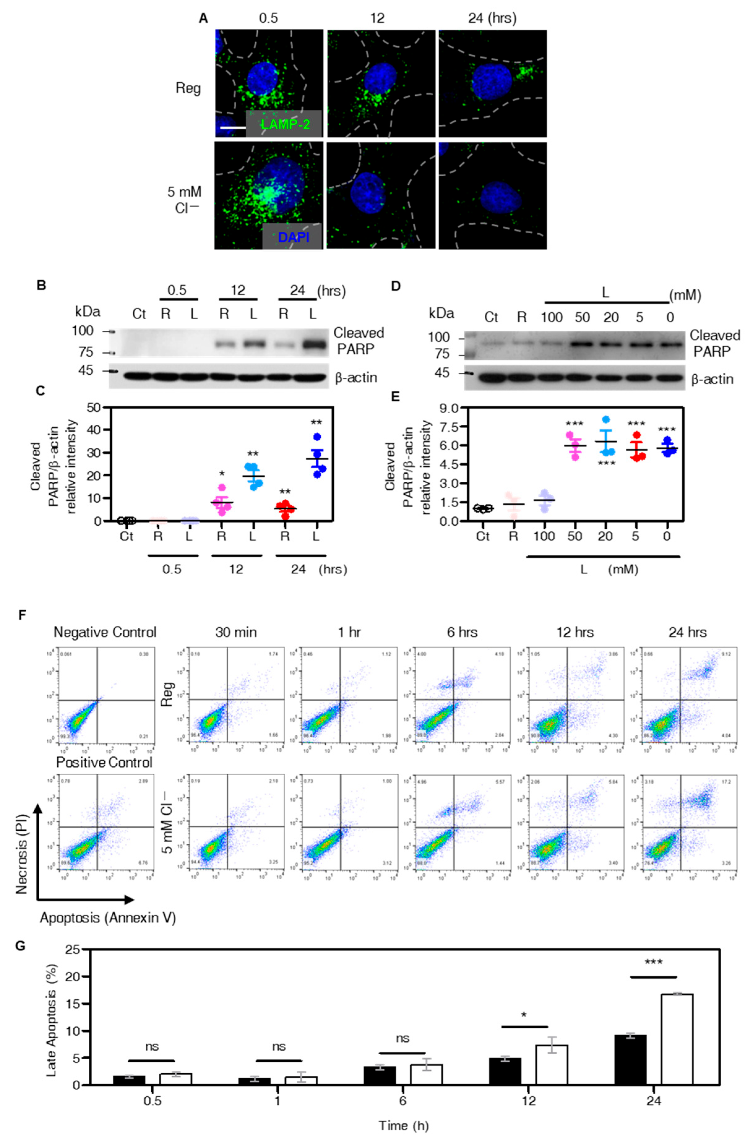 Cells 12 01835 g006 Cells 12 01835 g006