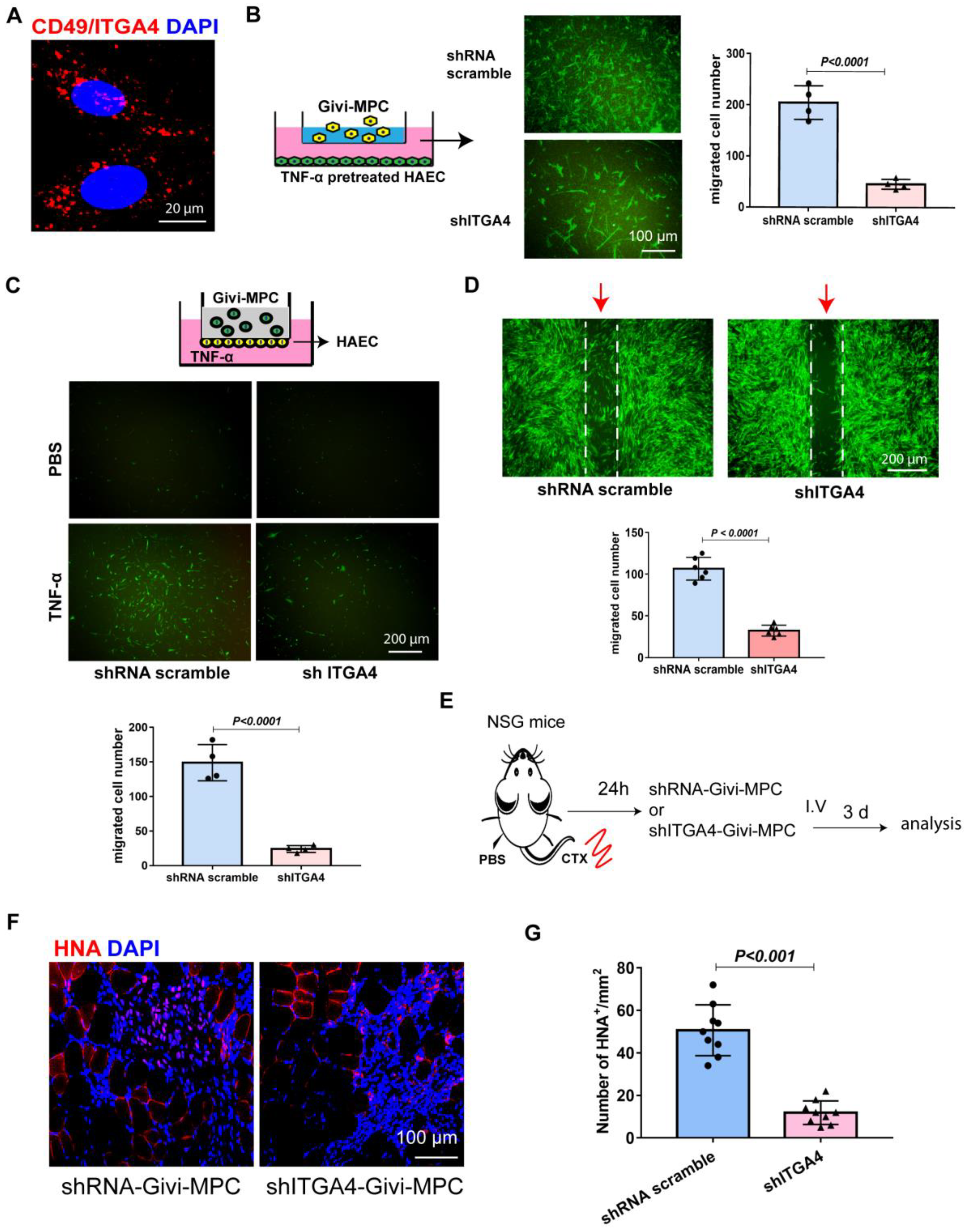 Cells 12 01837 g002 Cells 12 01837 g002