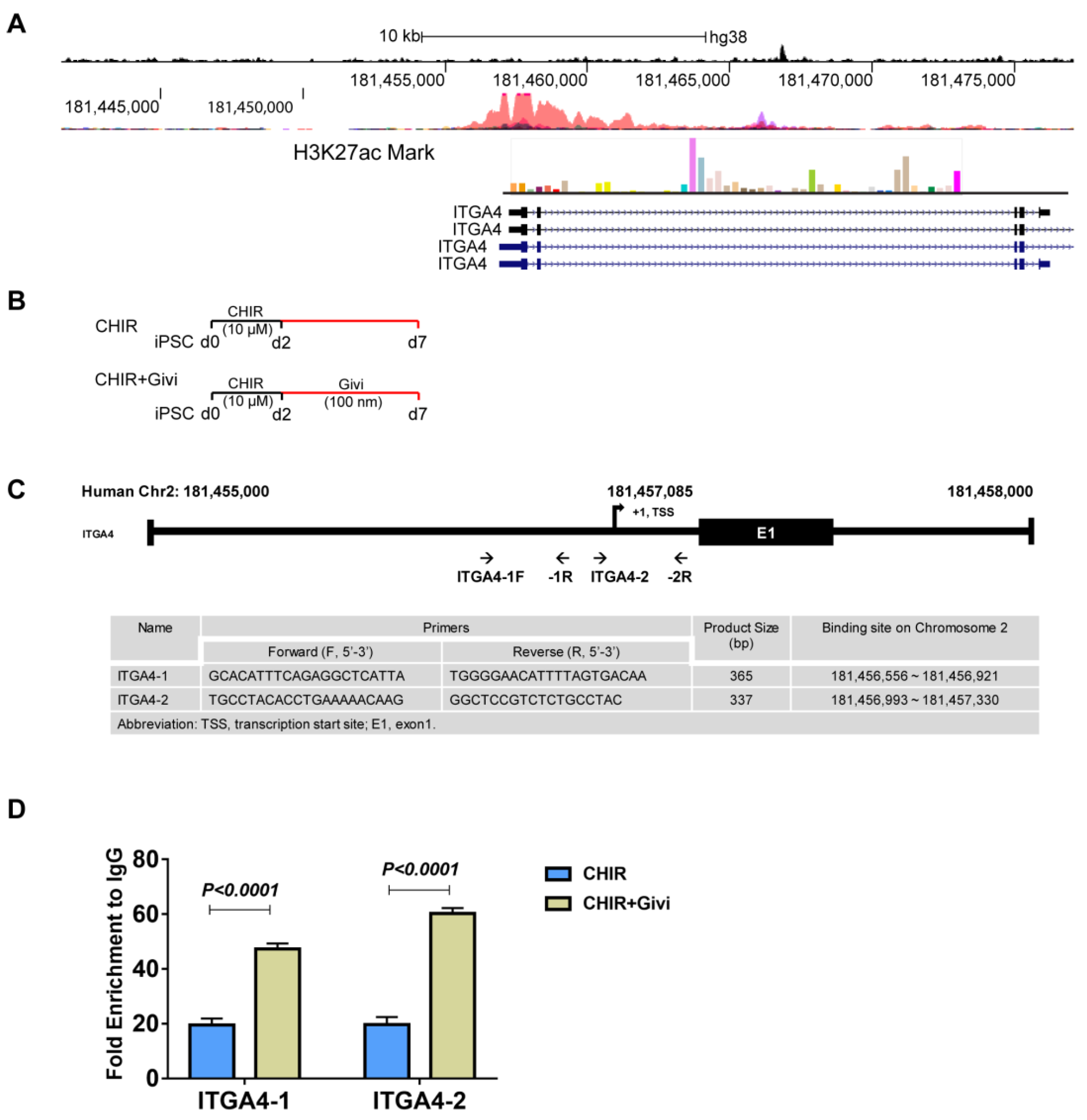 Cells 12 01837 g007 Cells 12 01837 g007