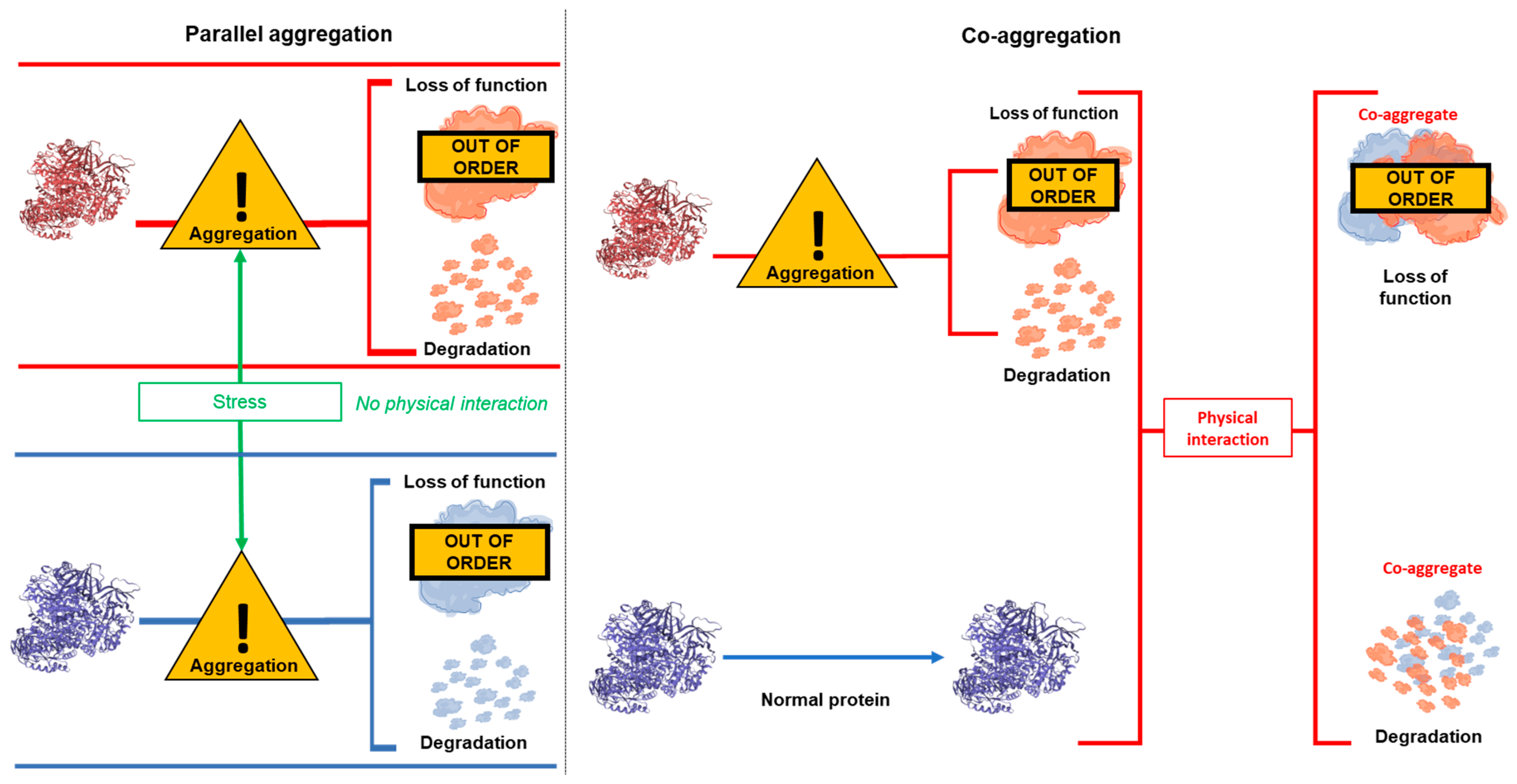 Cells 12 01848 g001 Cells 12 01848 g001