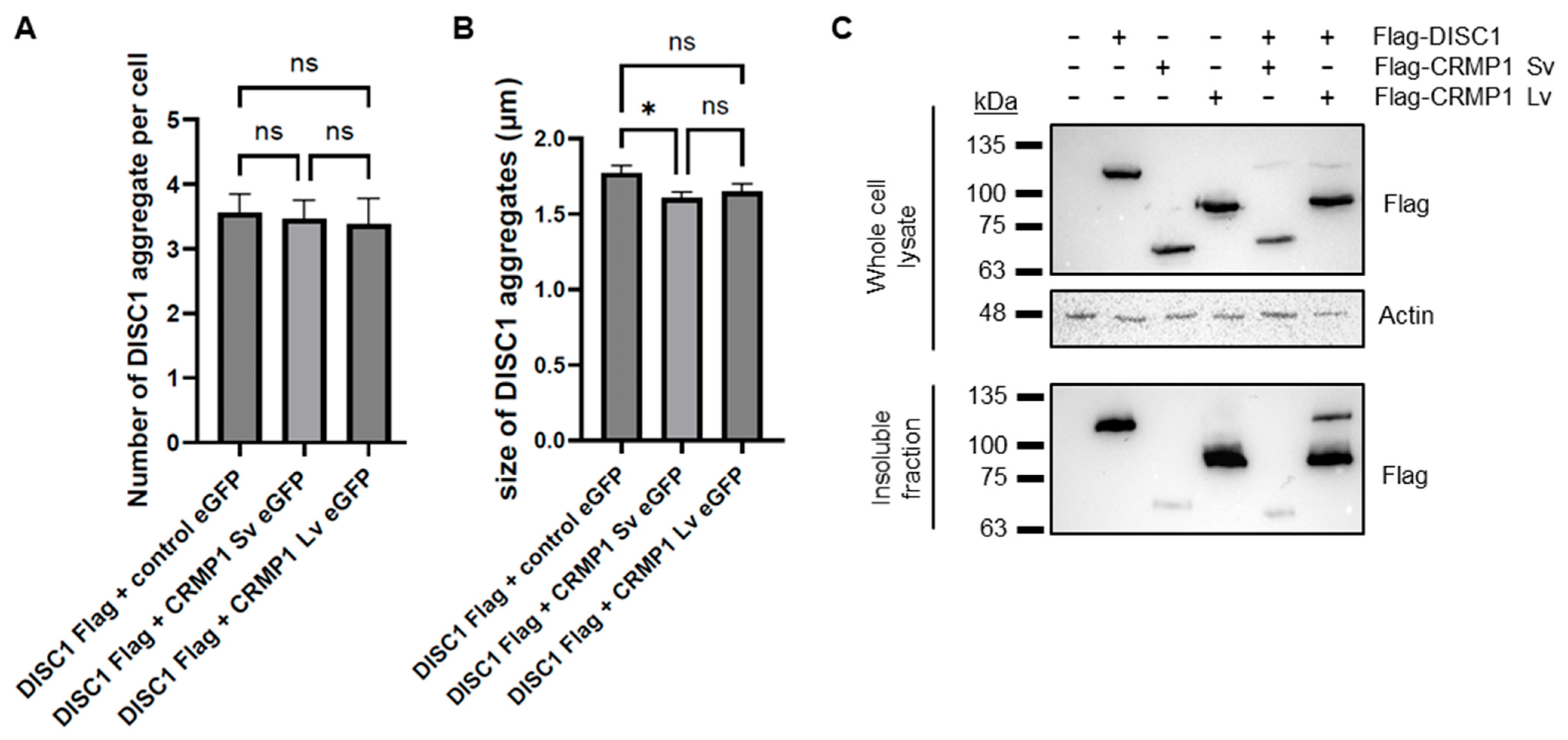 Cells 12 01848 g006 Cells 12 01848 g006