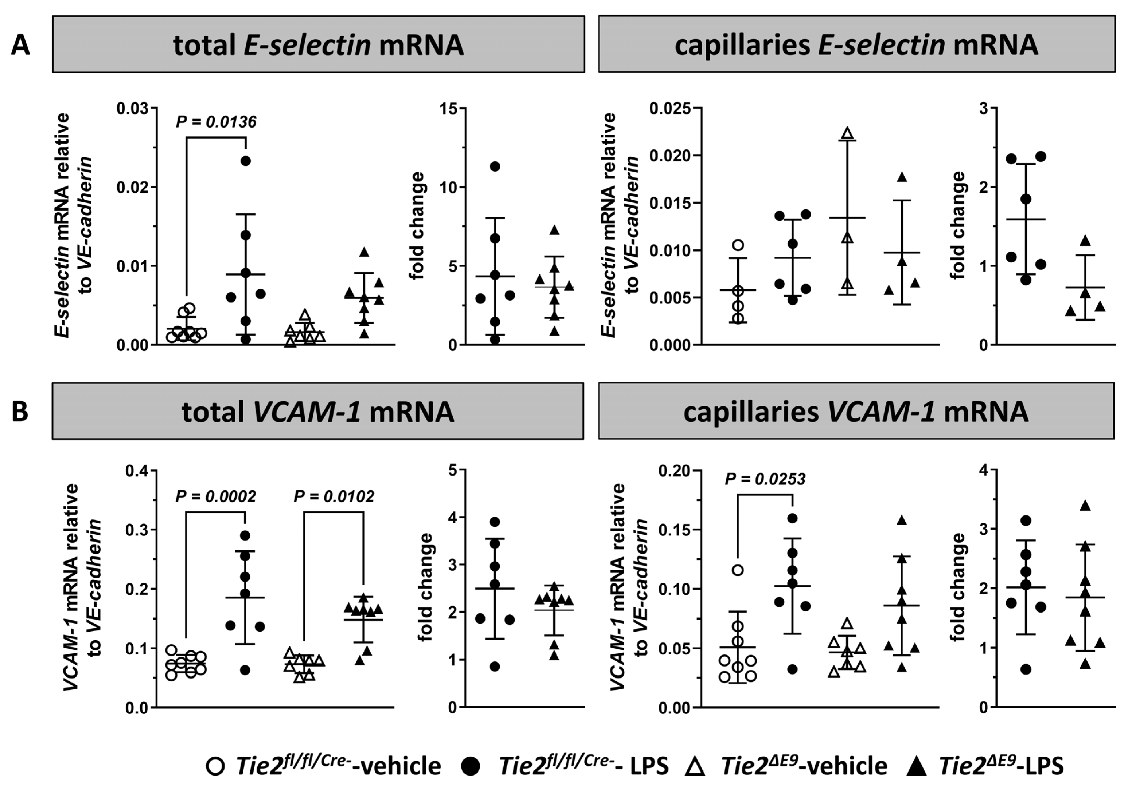 Cells 12 01850 g004 Cells 12 01850 g004