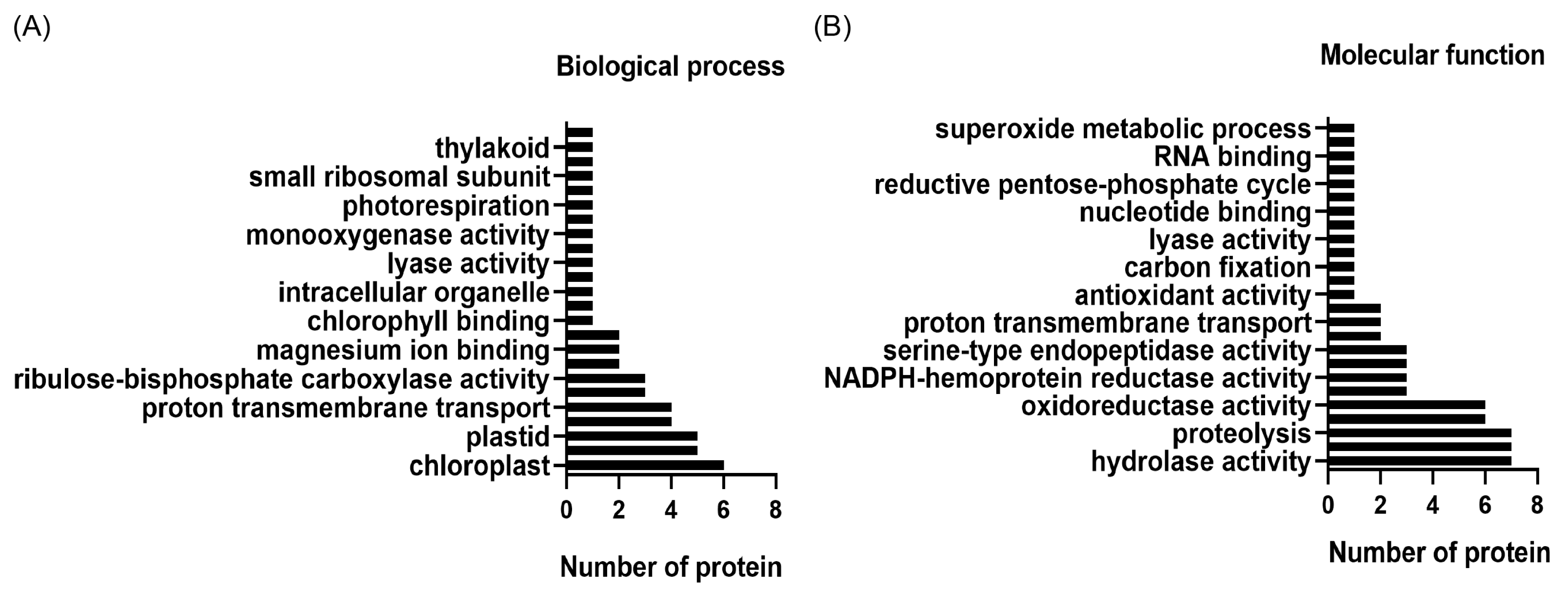 Cells 12 01852 g004 Cells 12 01852 g004