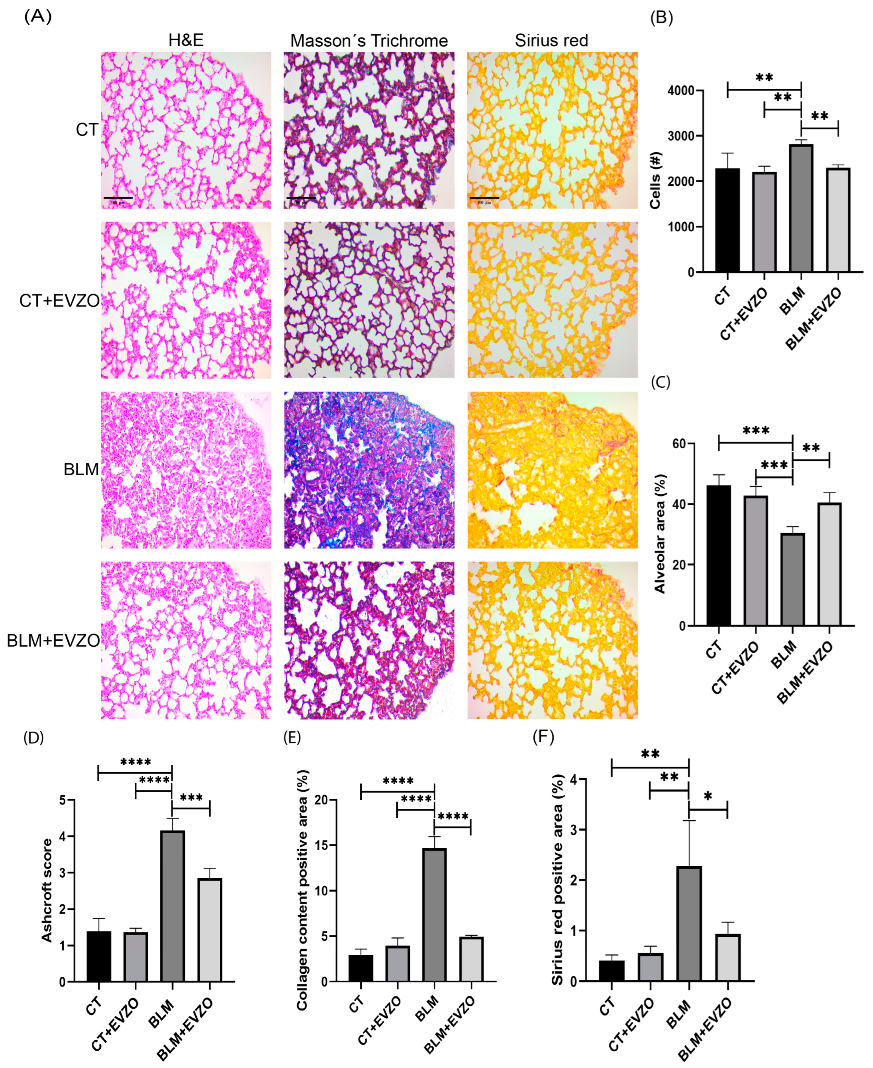 Cells 12 01852 g005 Cells 12 01852 g005