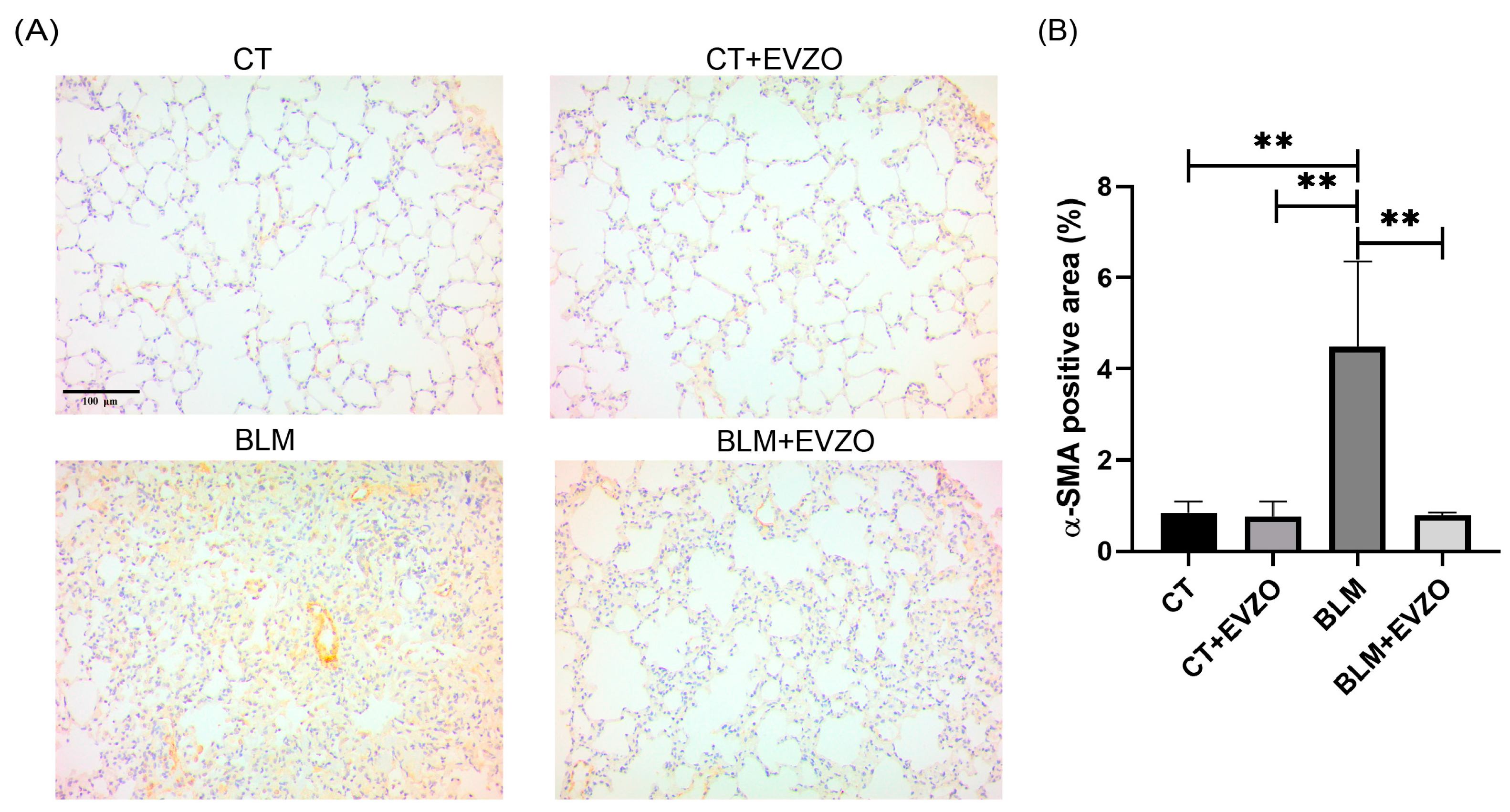 Cells 12 01852 g007 Cells 12 01852 g007