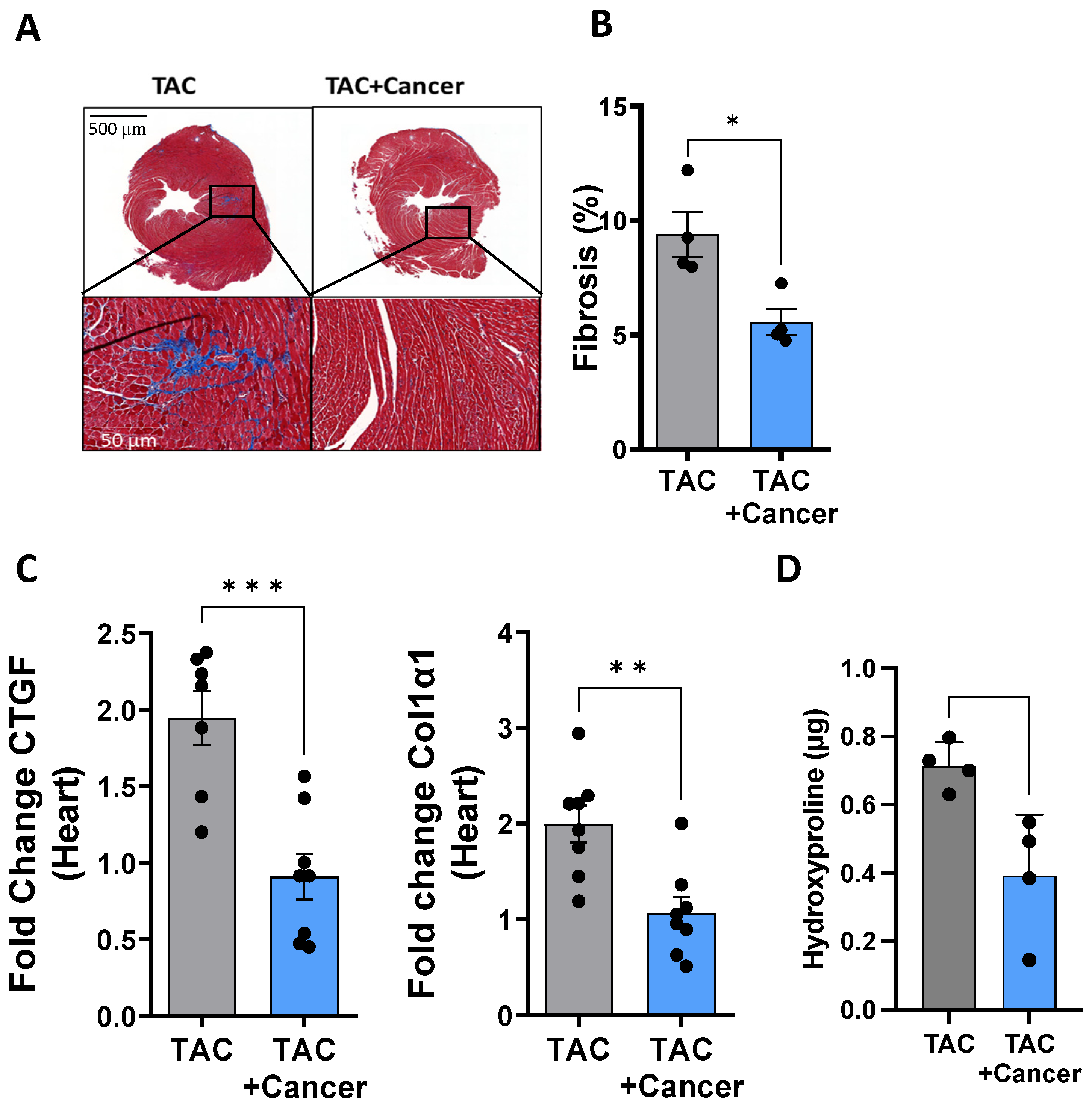 Cells 12 01853 g002 Cells 12 01853 g002