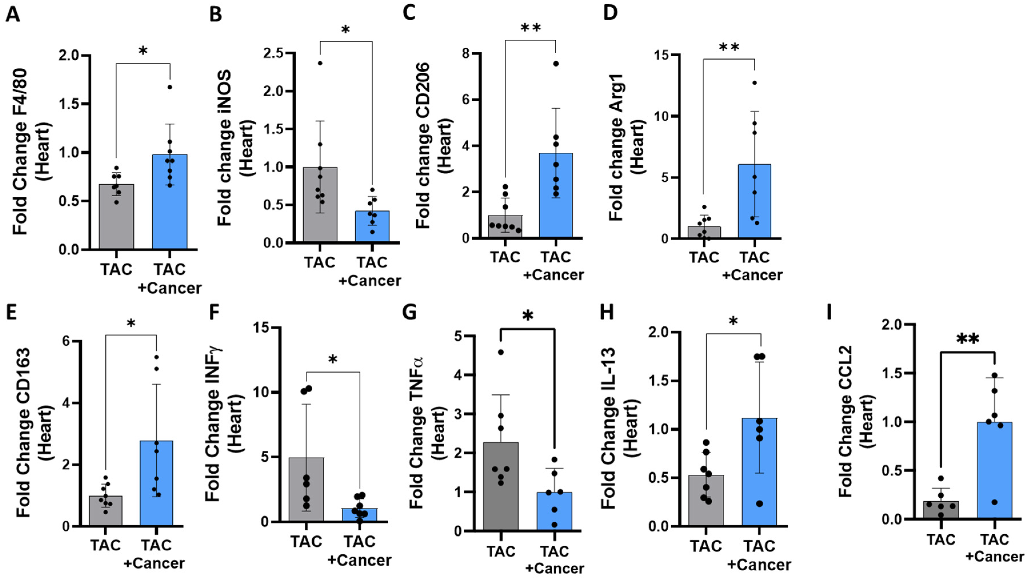 Cells 12 01853 g004 Cells 12 01853 g004