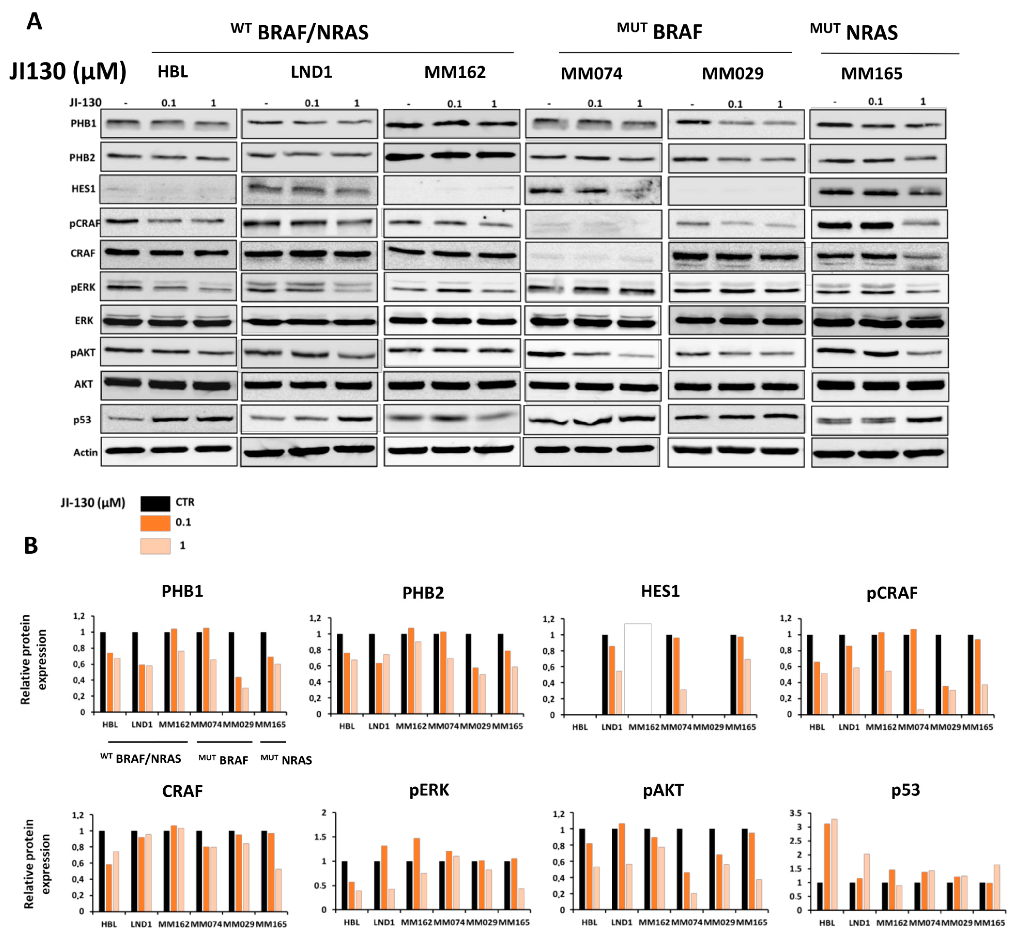 Cells 12 01855 g004a