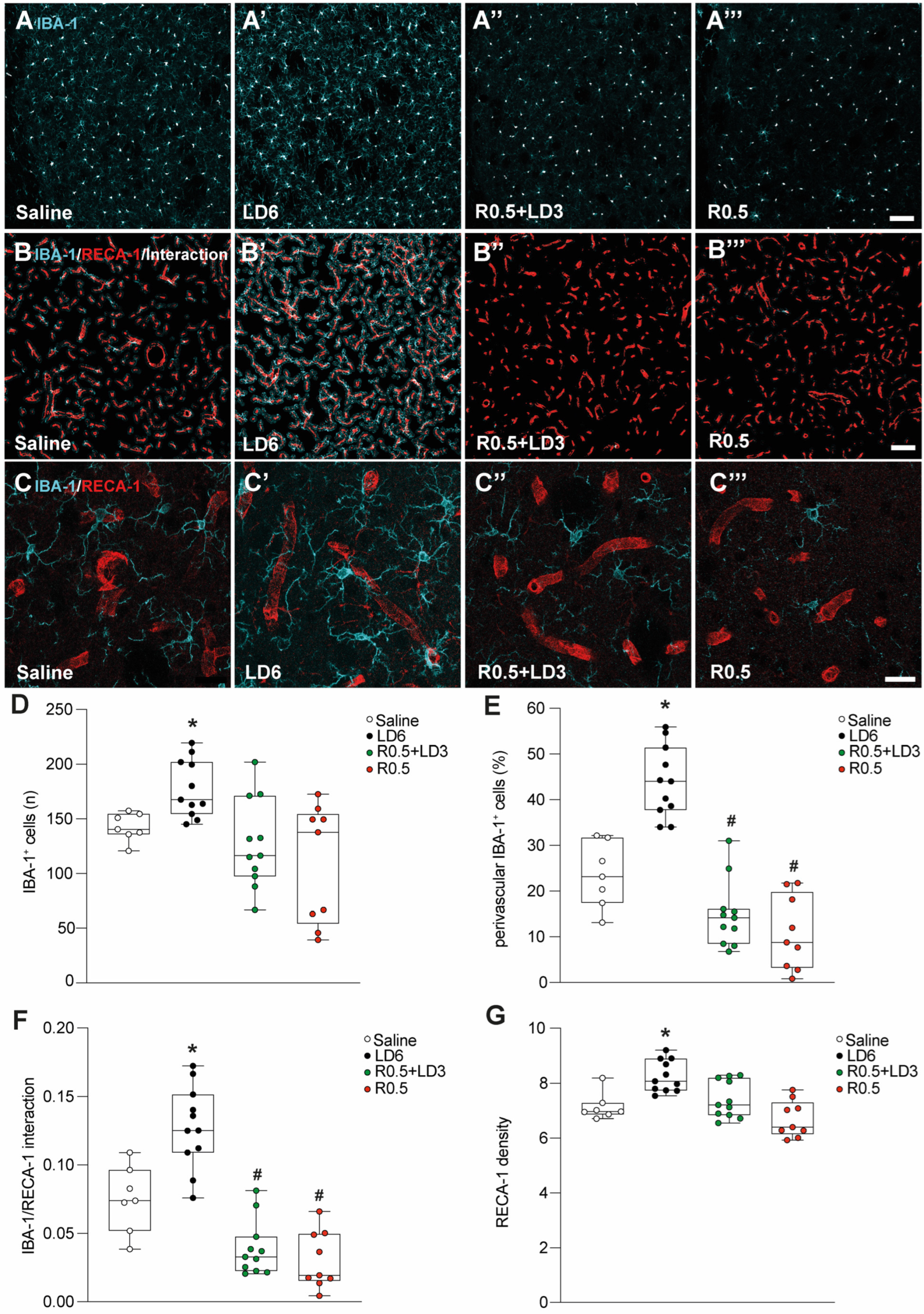 Cells 12 01859 g002 Cells 12 01859 g002