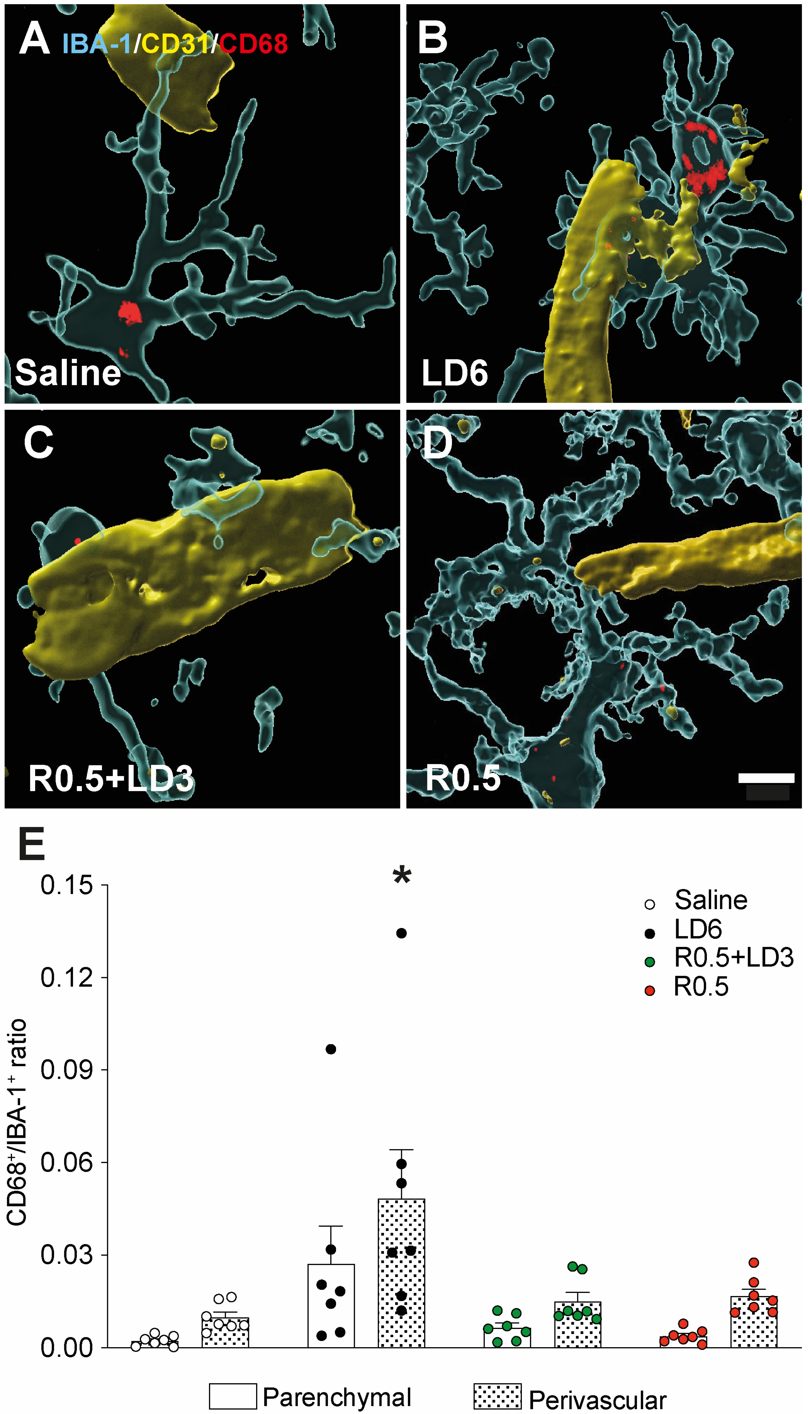 Cells 12 01859 g003 Cells 12 01859 g003