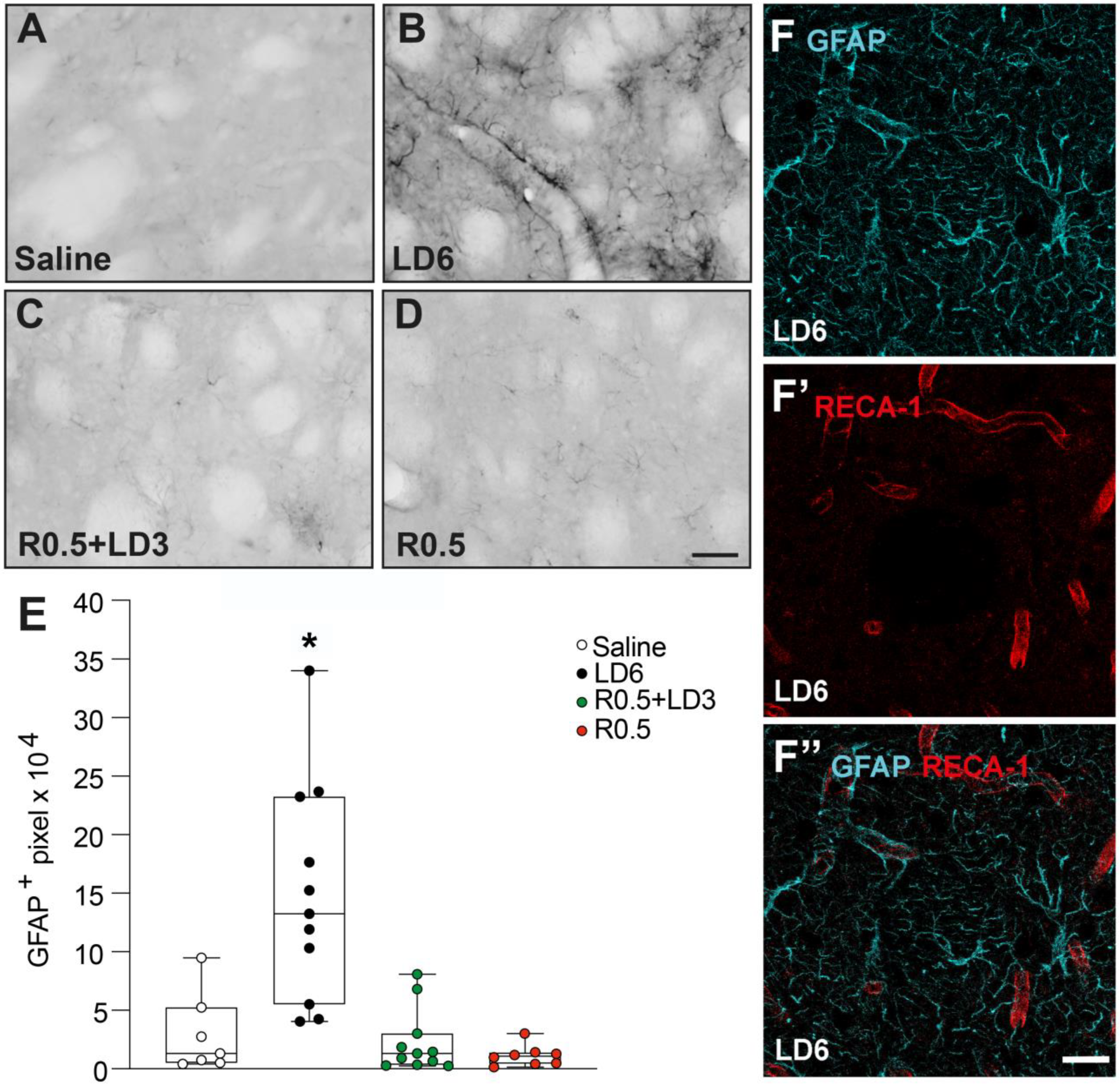 Cells 12 01859 g005 Cells 12 01859 g005