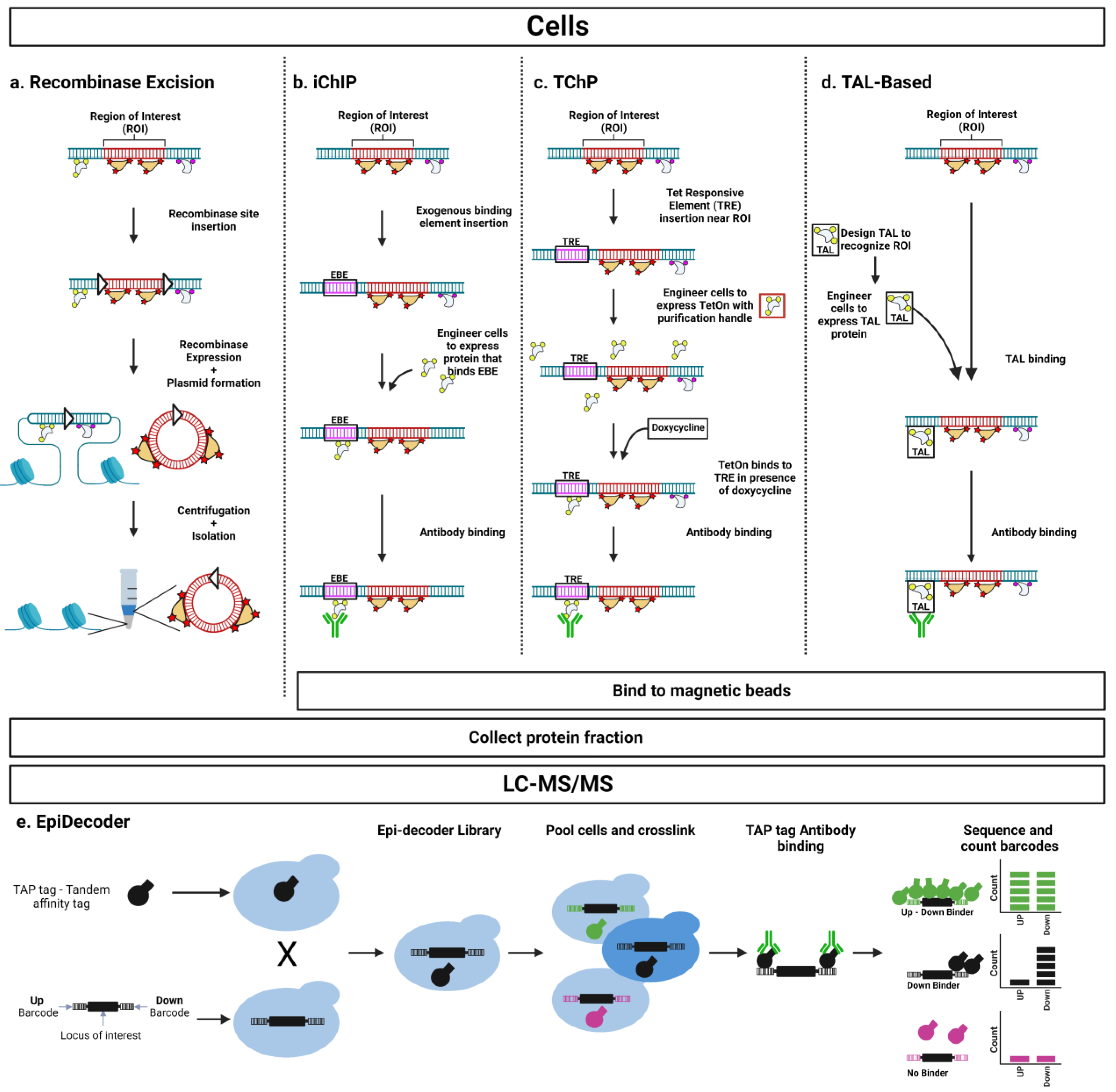 Cells 12 01860 g004 Cells 12 01860 g004