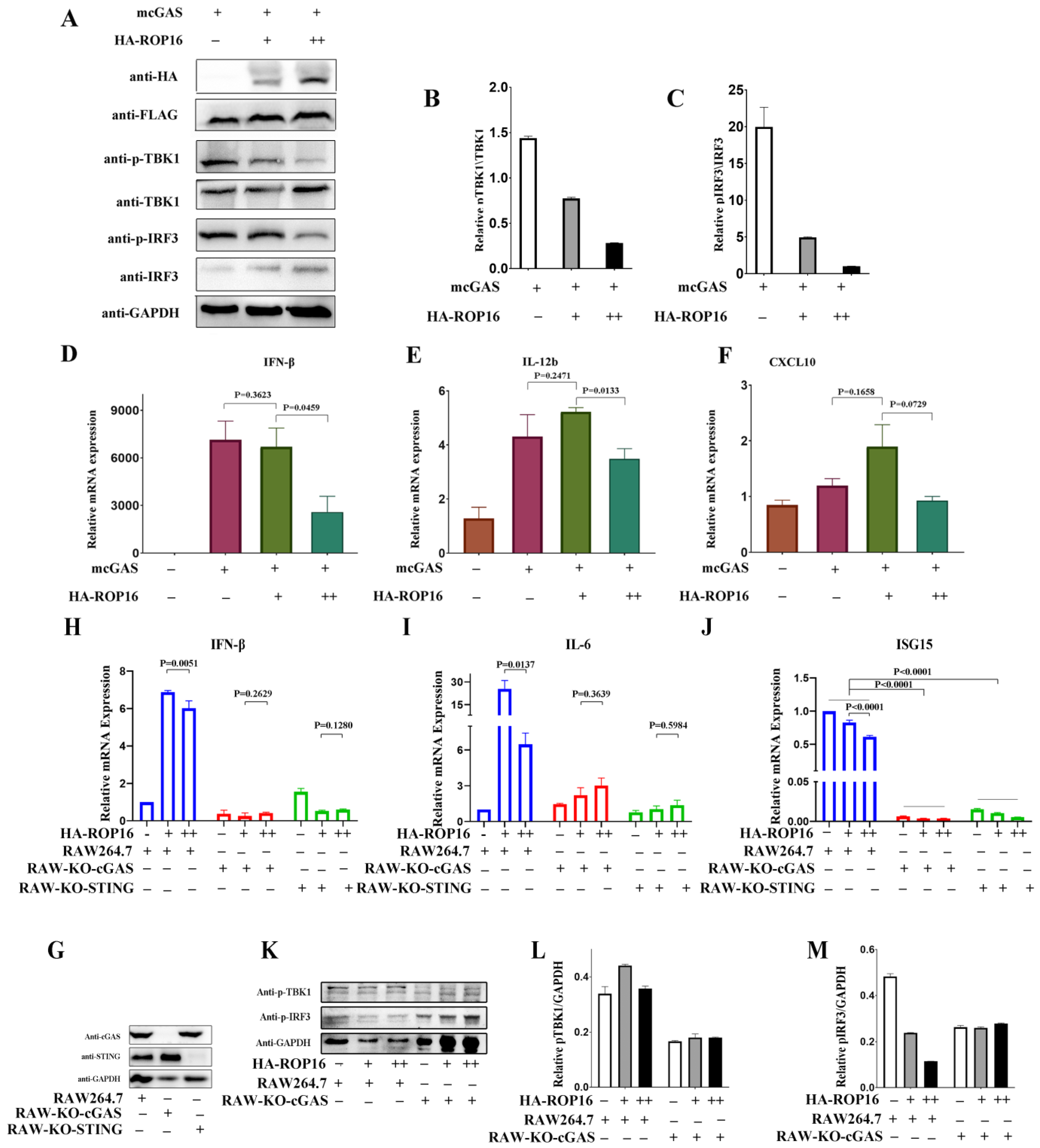 Cells 12 01862 g002 Cells 12 01862 g002