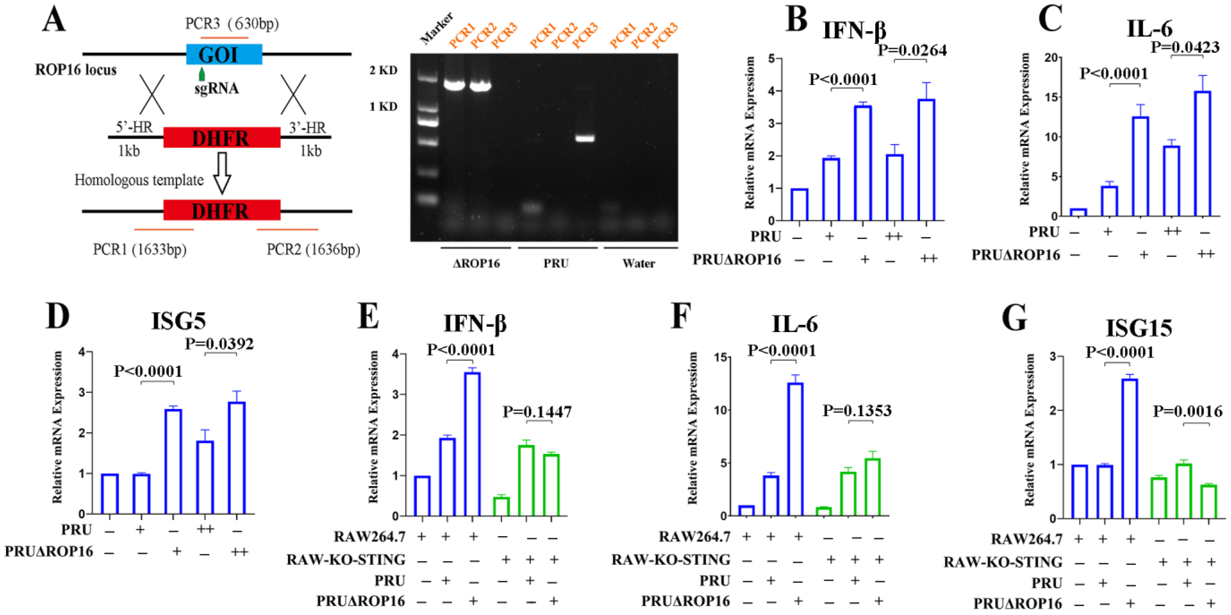 Cells 12 01862 g003 Cells 12 01862 g003