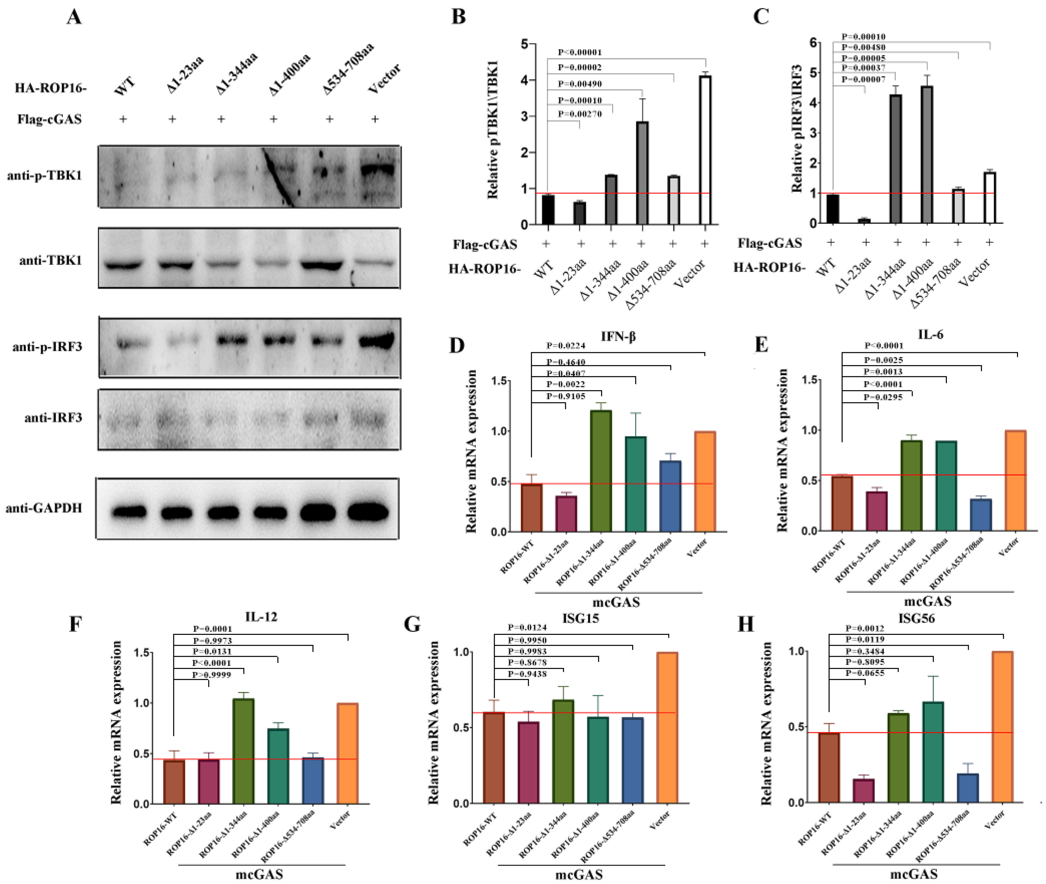 Cells 12 01862 g005 Cells 12 01862 g005
