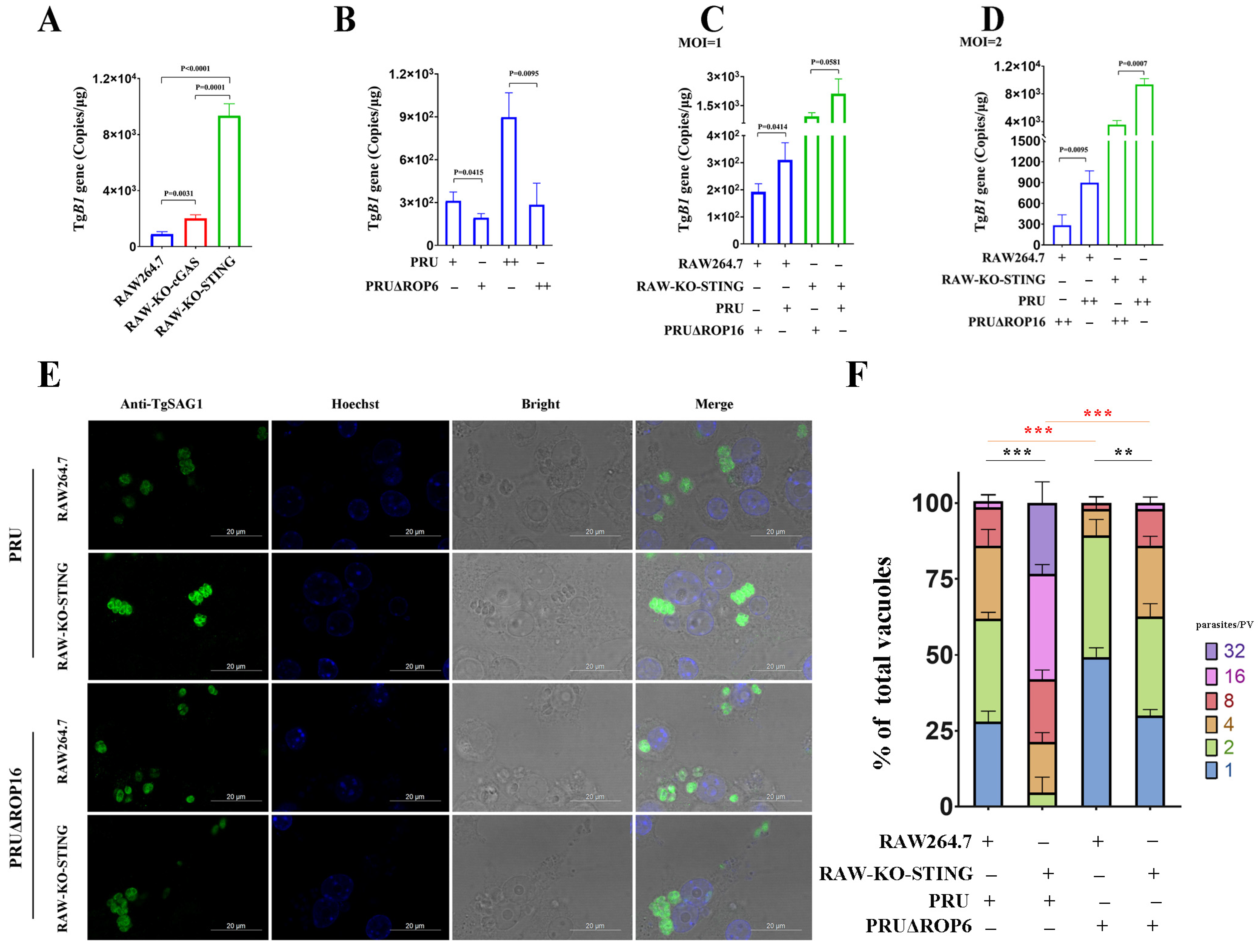 Cells 12 01862 g007 Cells 12 01862 g007