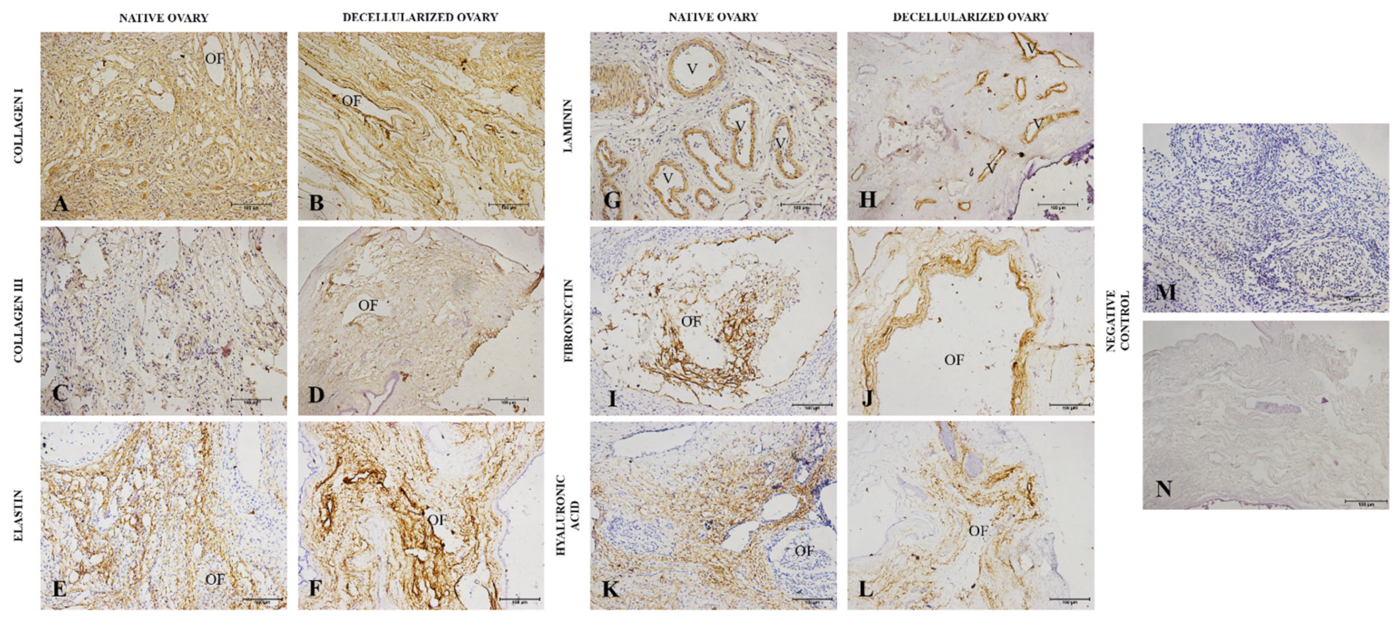 Cells 12 01864 g004 Cells 12 01864 g004