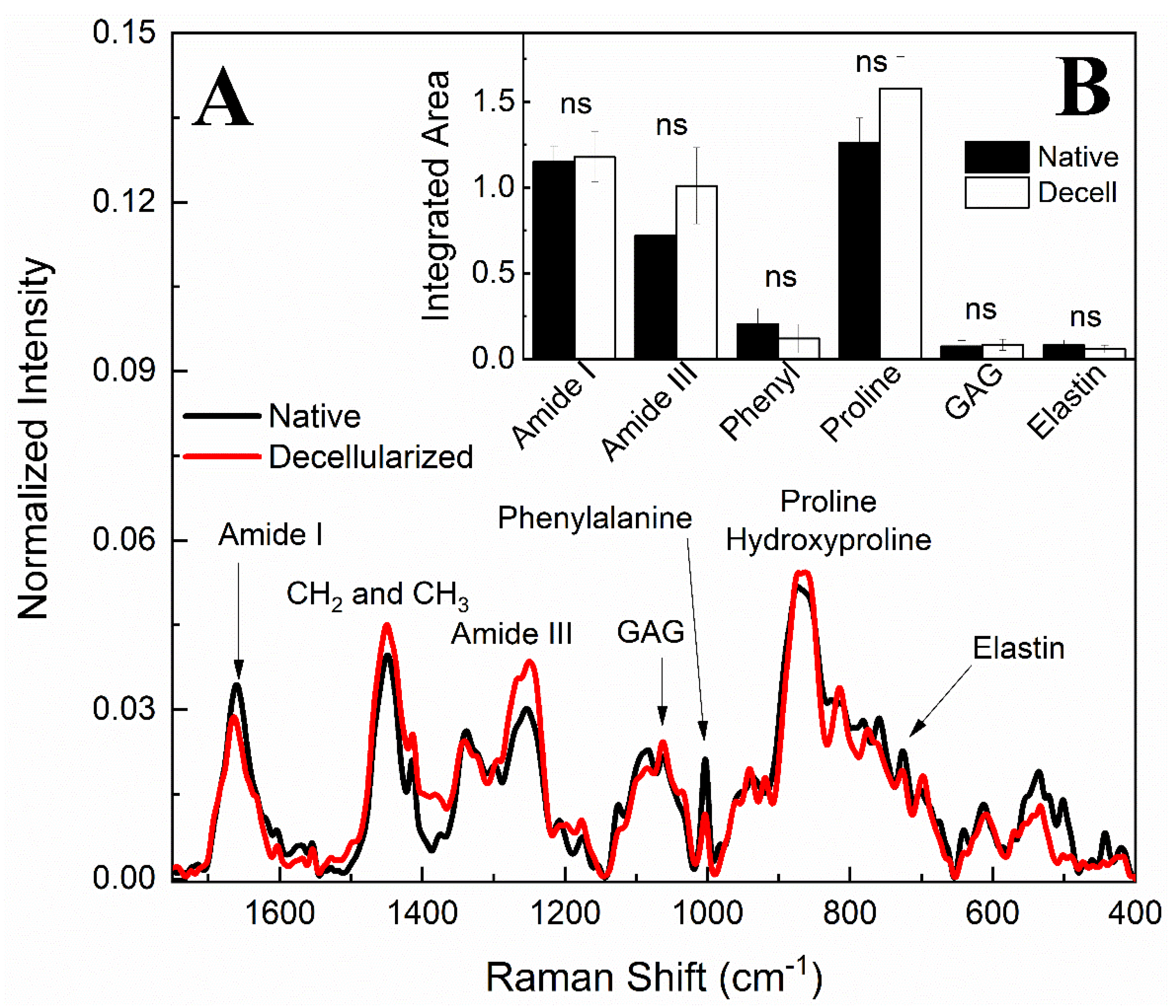 Cells 12 01864 g009 Cells 12 01864 g009