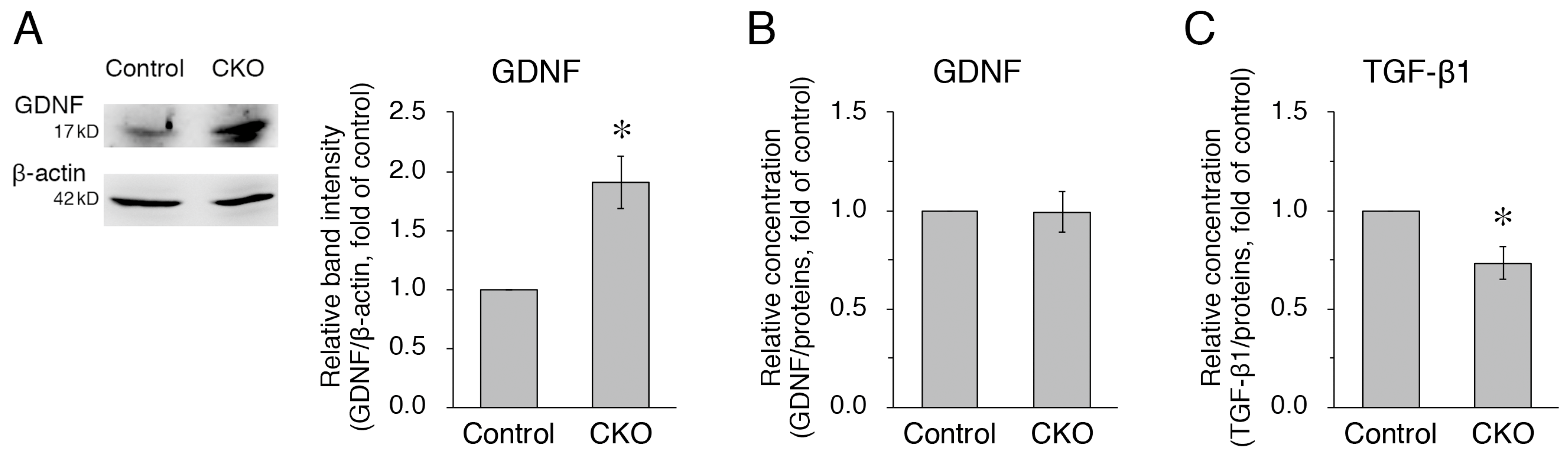 Cells 12 01867 g004 Cells 12 01867 g004