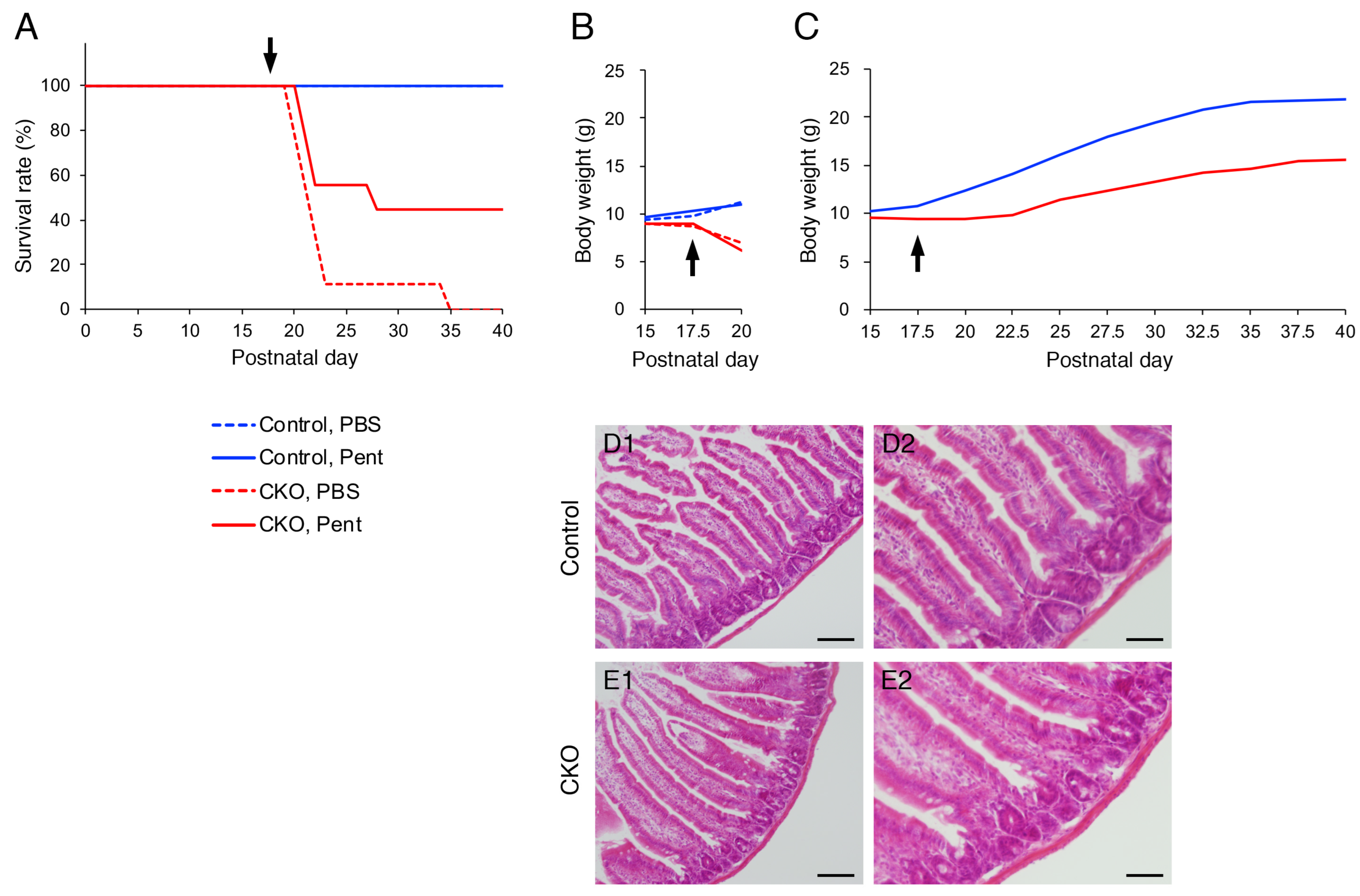Cells 12 01867 g005 Cells 12 01867 g005